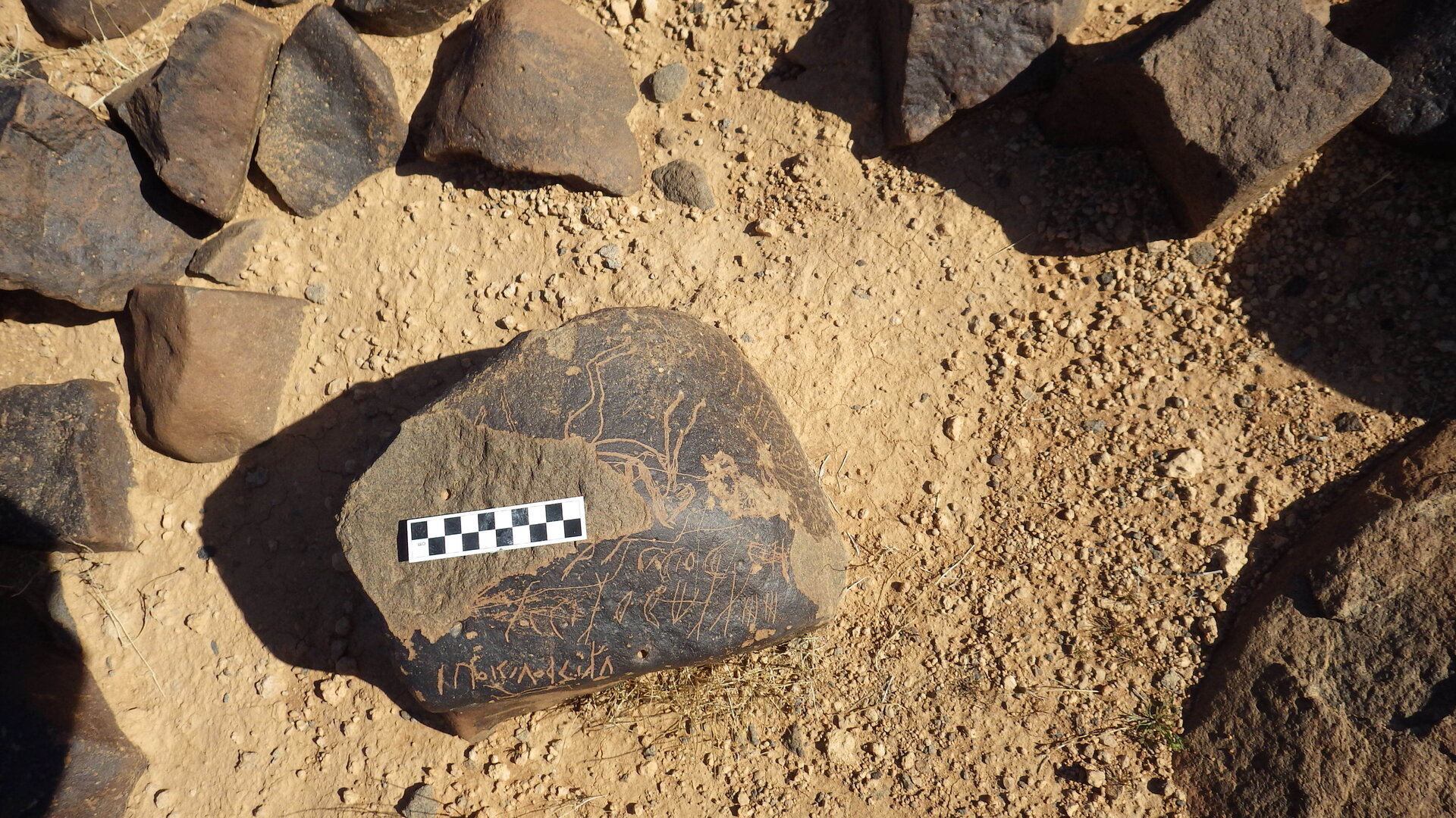 Image of siglum BES20 1246