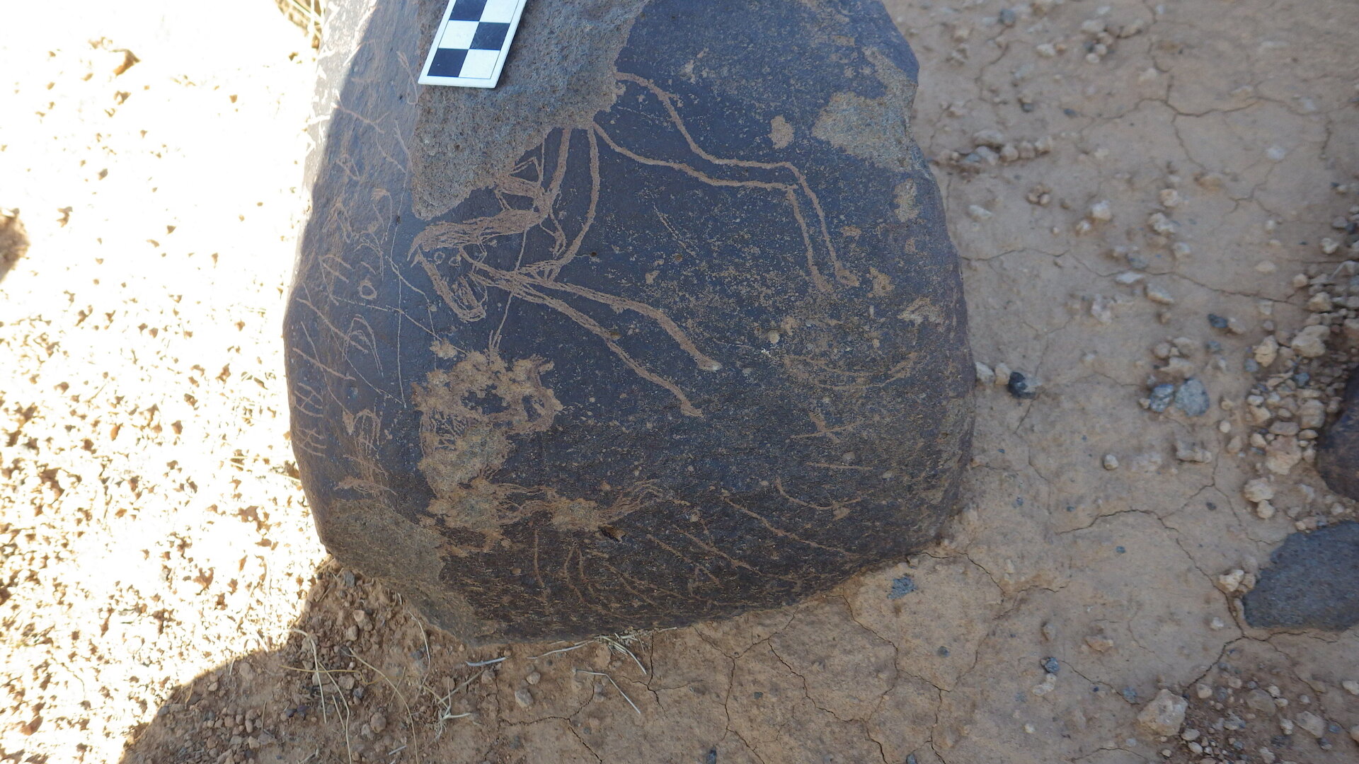 Image of siglum BES20 1246