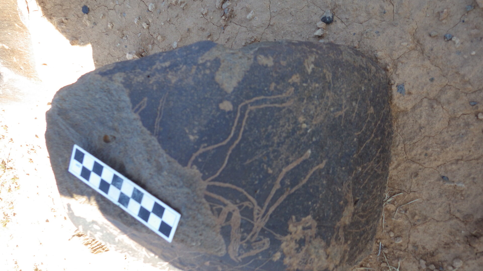 Image of siglum BES20 1246