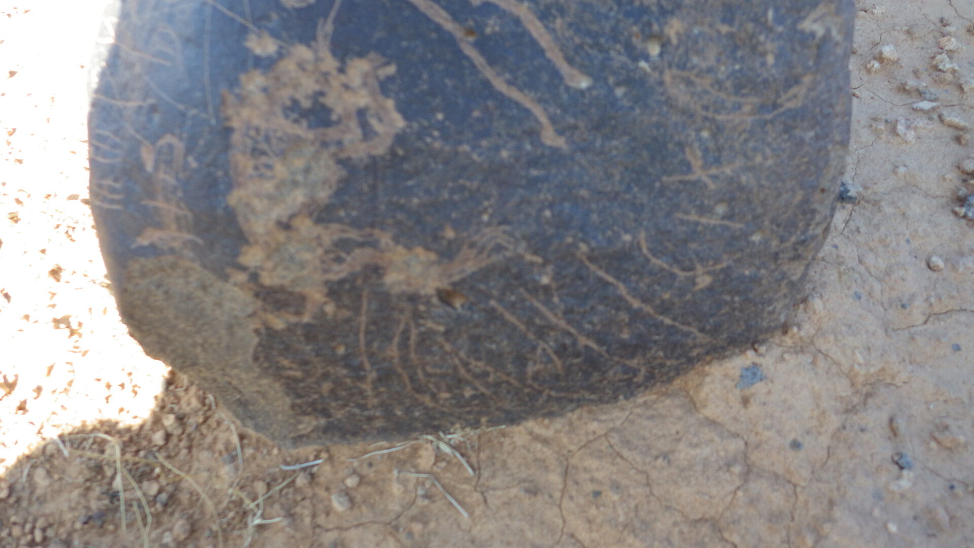 Image of siglum BES20 1246