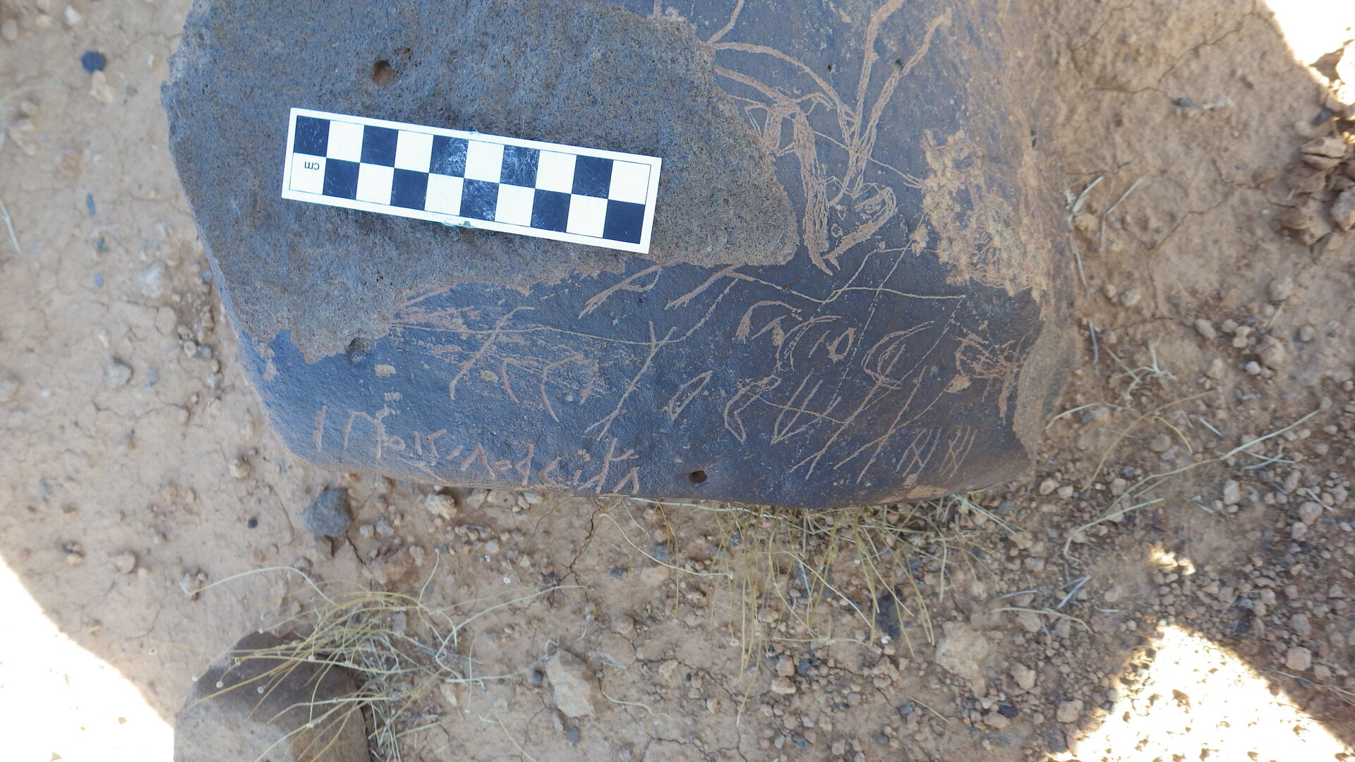Image of siglum BES20 1246