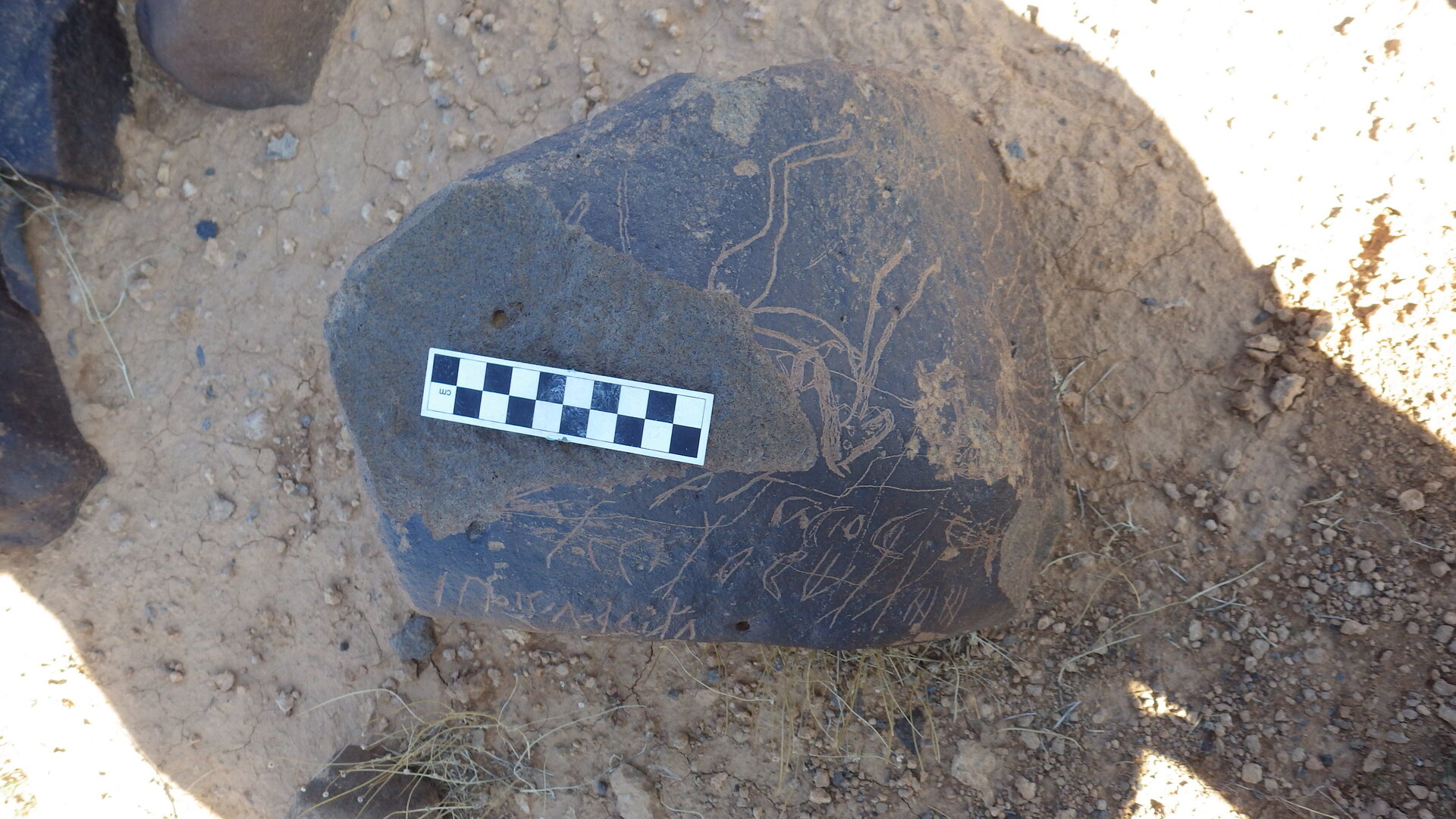 Image of siglum BES20 1246