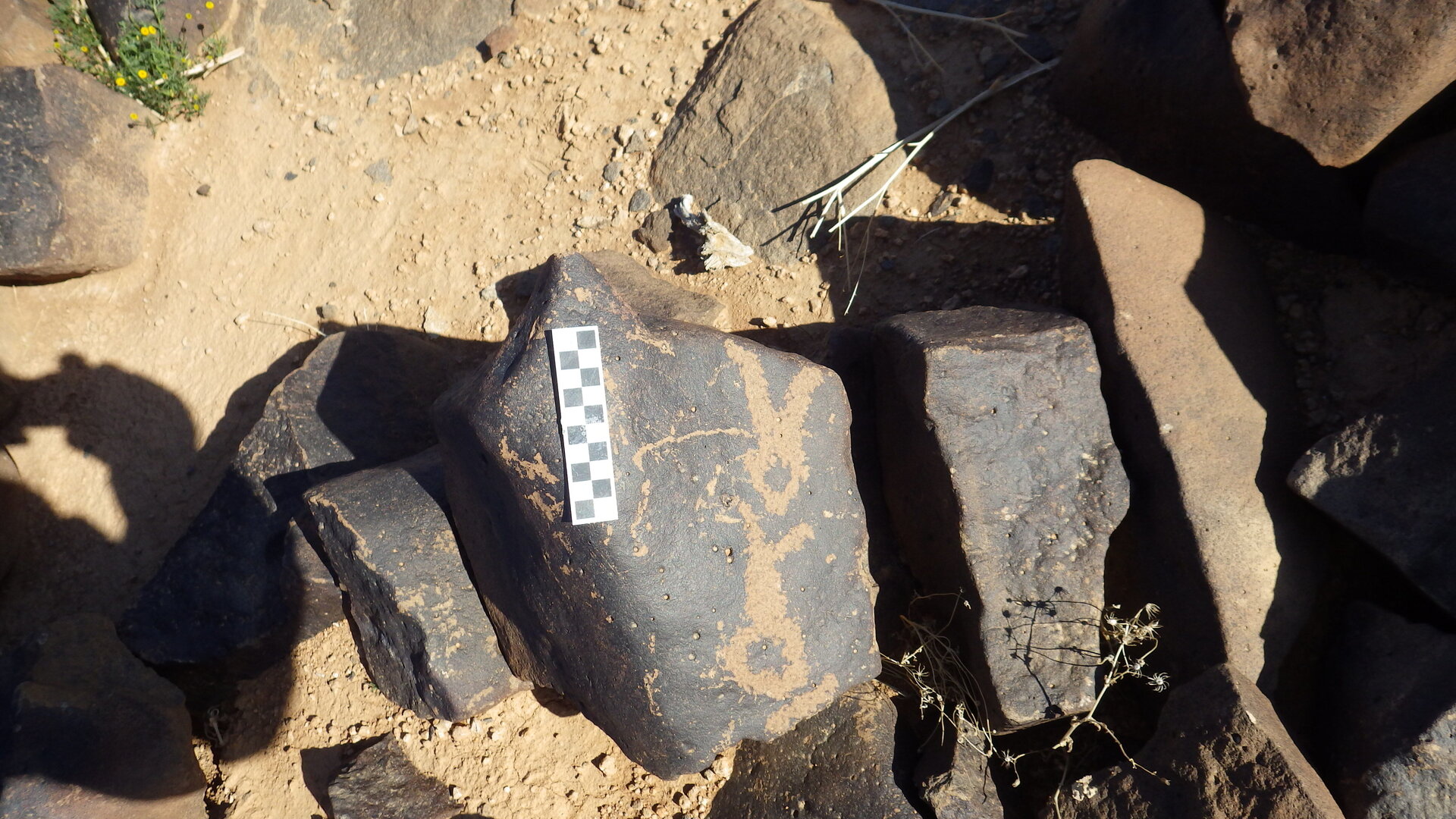 Image of siglum BES20 1246
