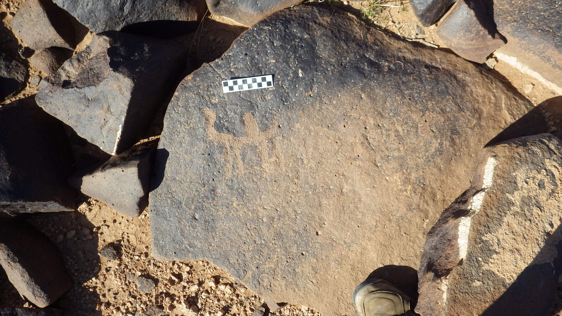 Image of siglum BES20 1246