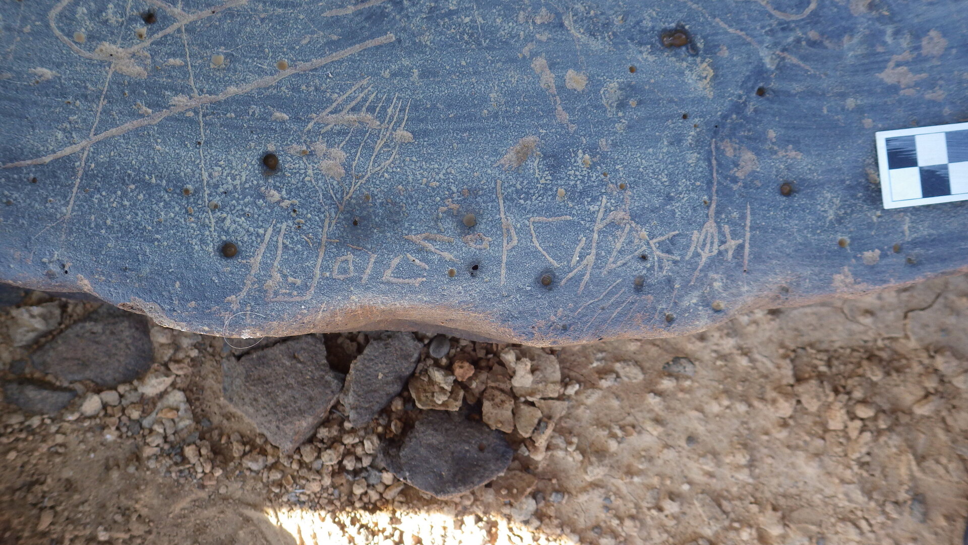 Image of siglum BES20 1246
