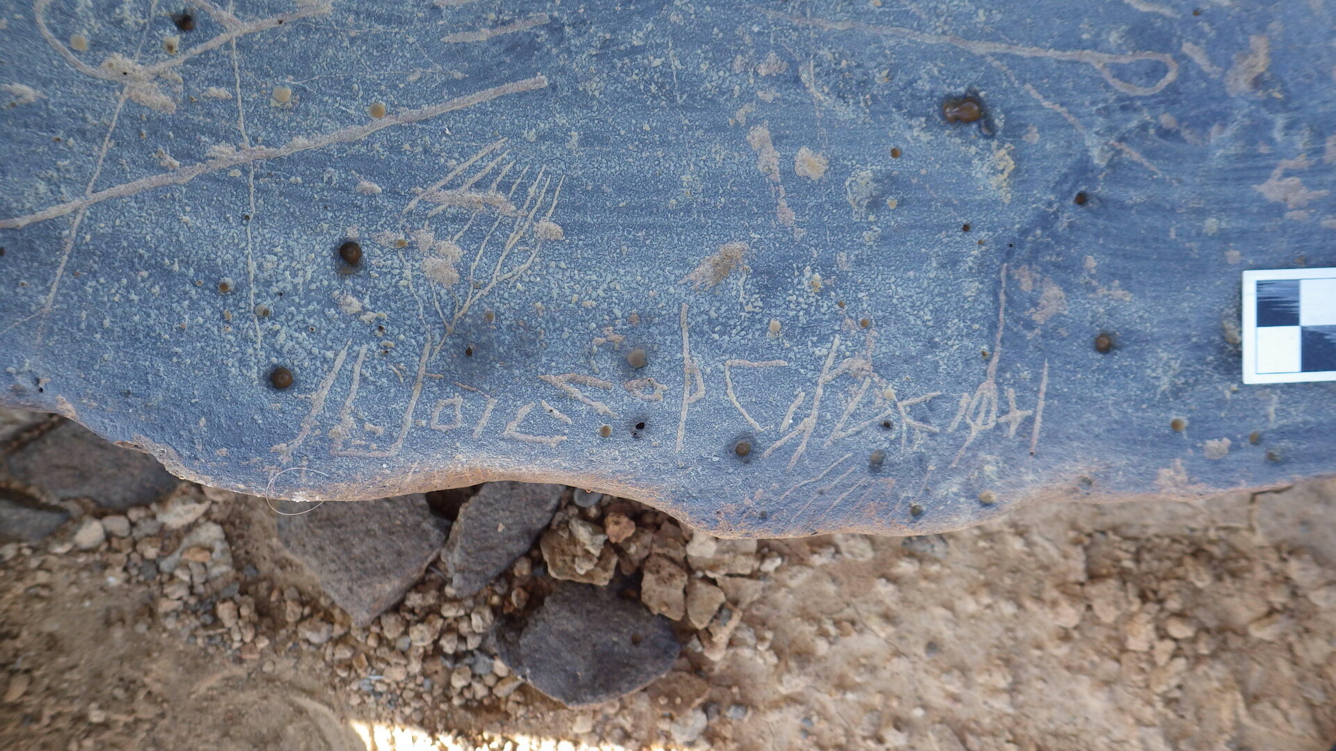 Image of siglum BES20 1246