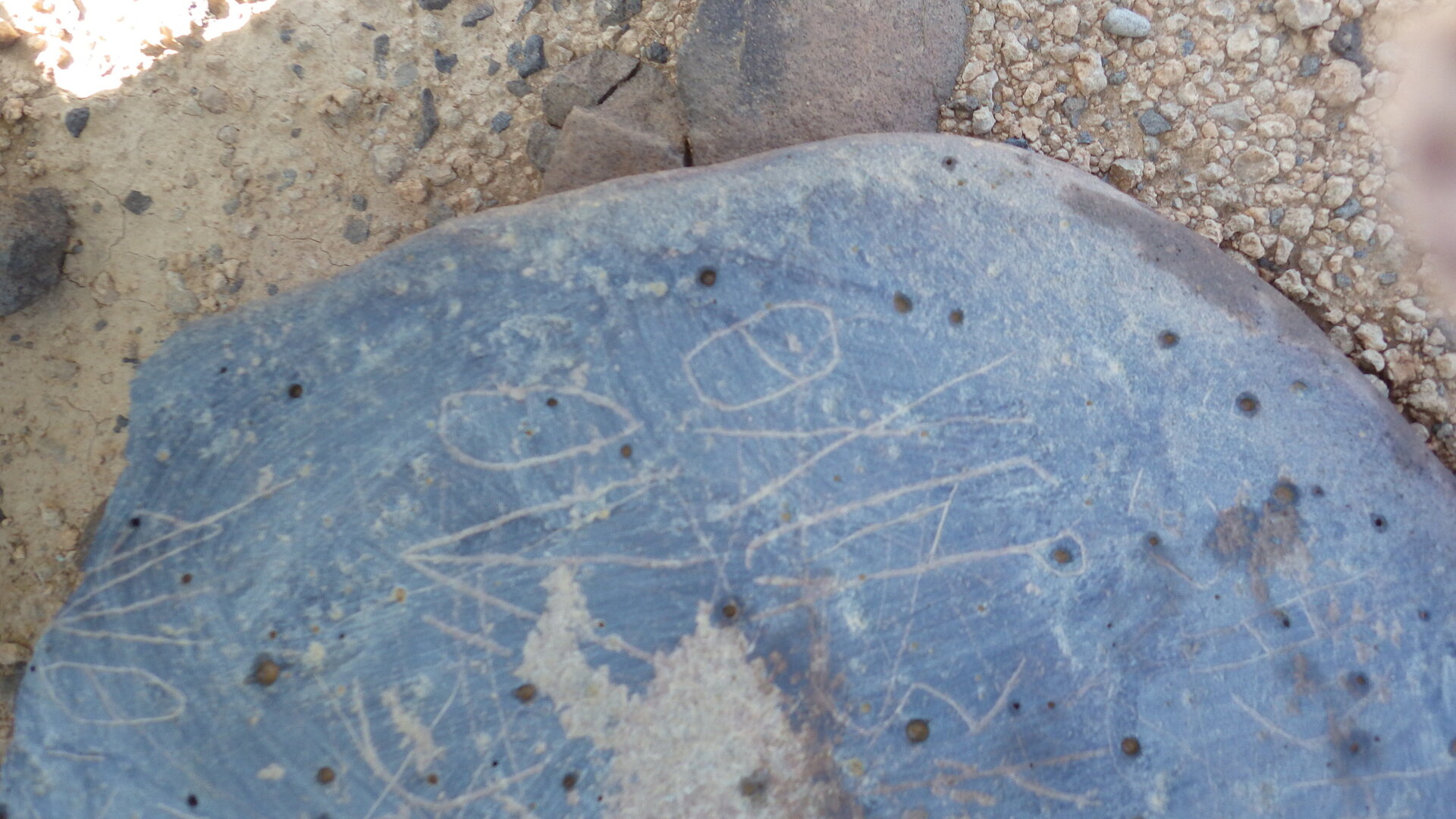 Image of siglum BES20 1246