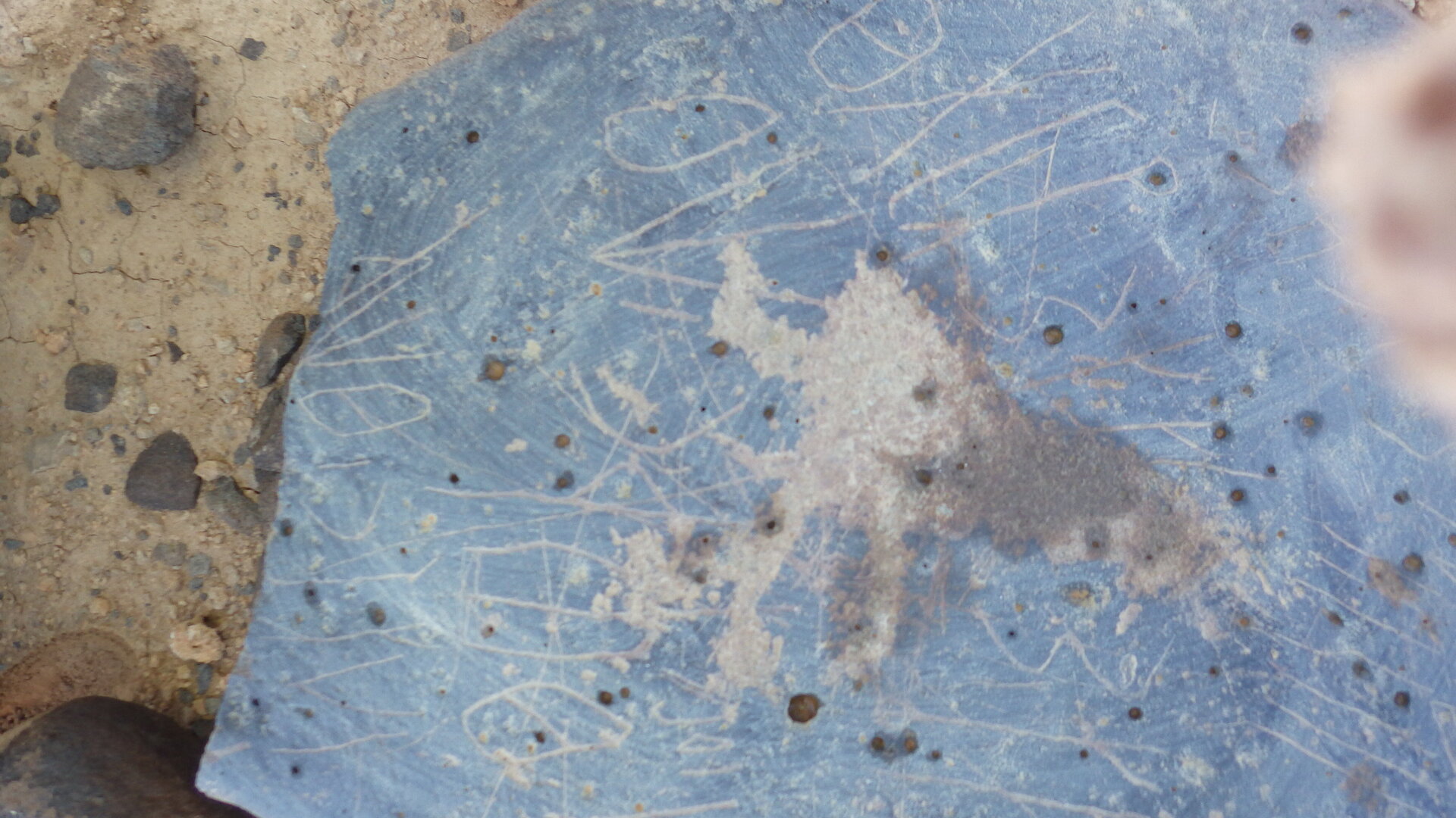 Image of siglum BES20 1246