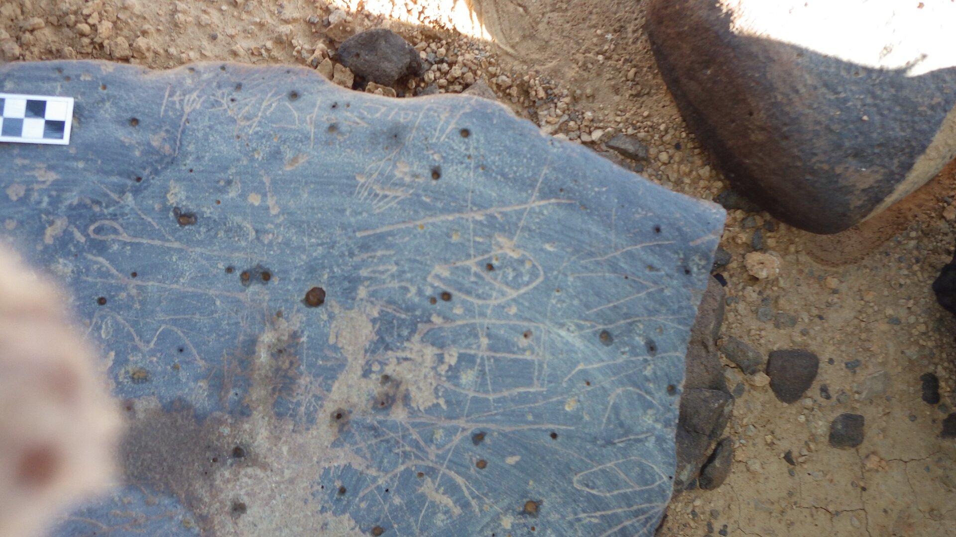 Image of siglum BES20 1246