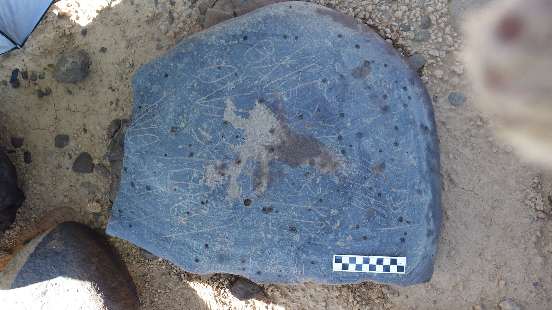 Image of siglum BES20 1246