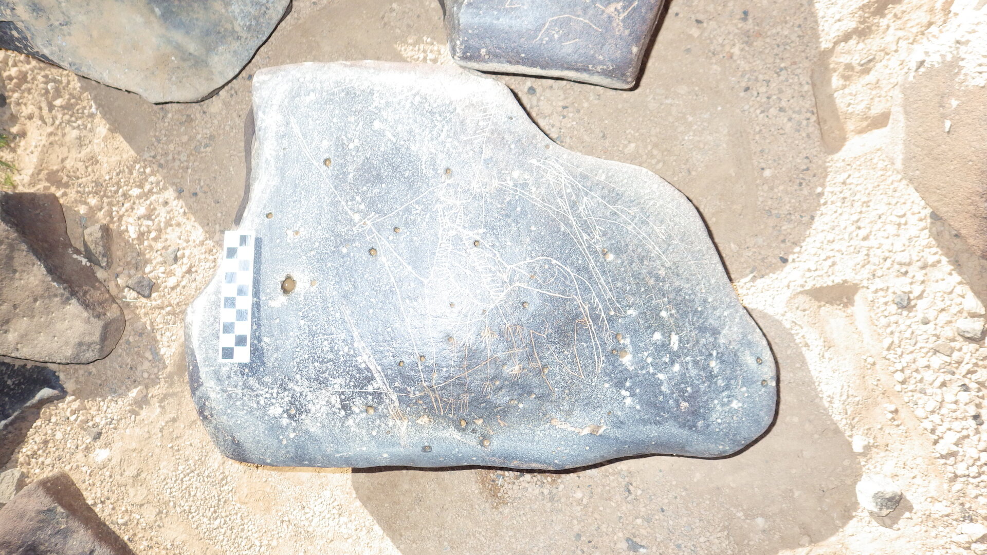 Image of siglum BES20 1246