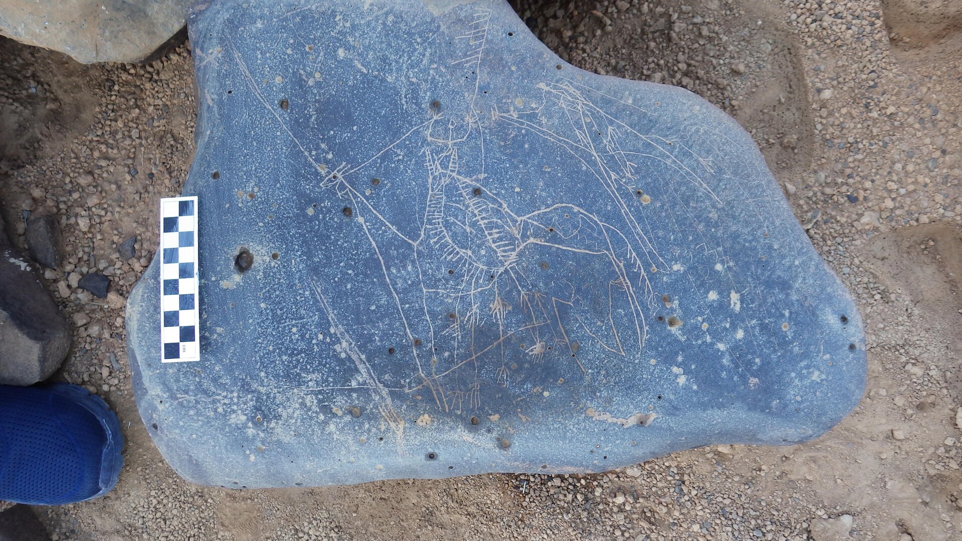 Image of siglum BES20 1246