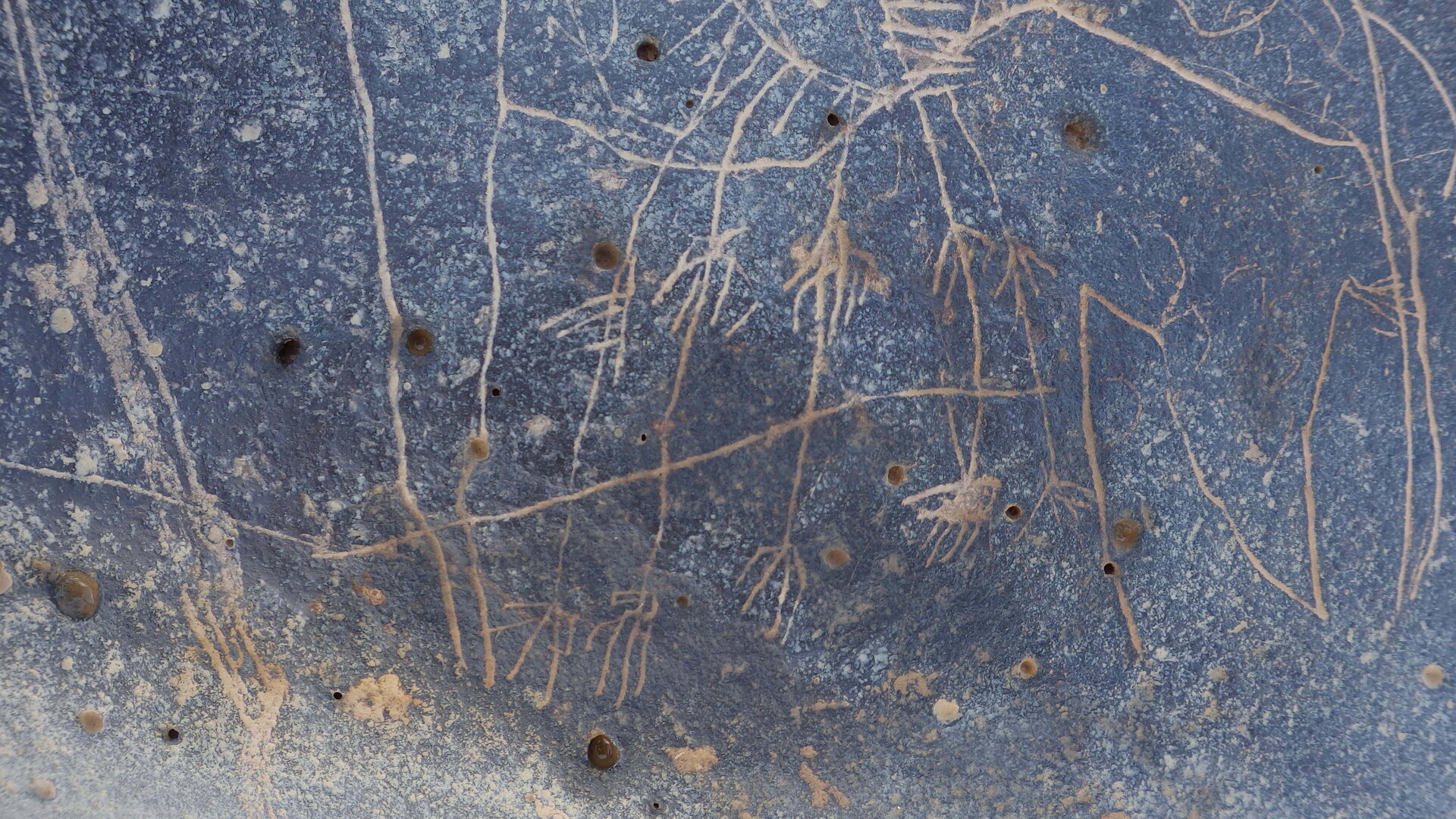 Image of siglum BES20 1246
