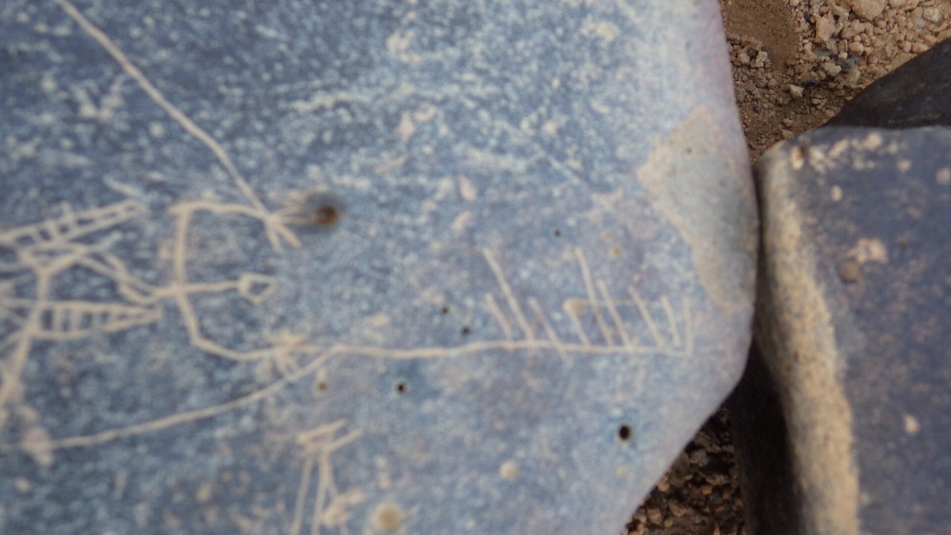 Image of siglum BES20 1246