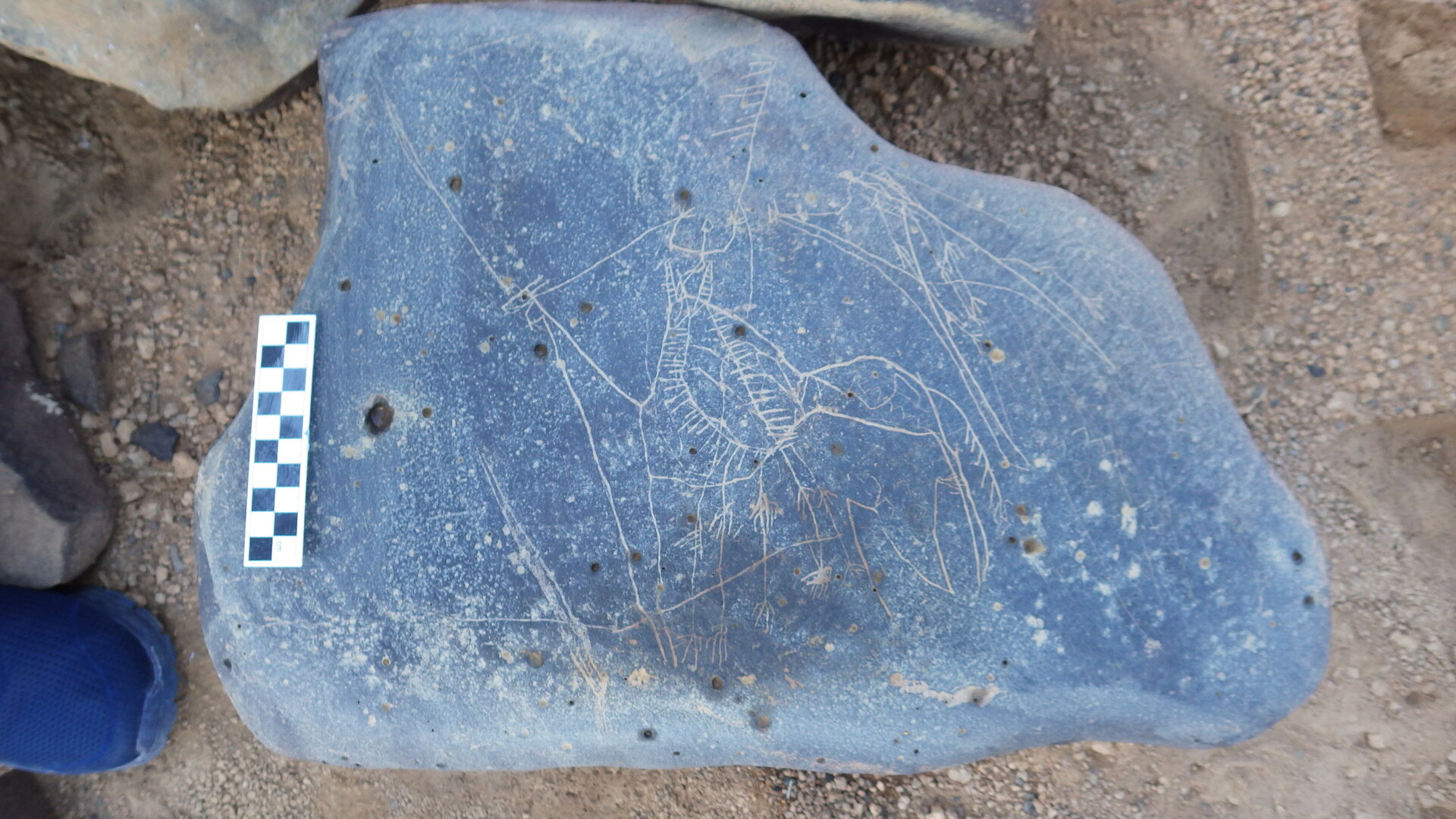 Image of siglum BES20 1246