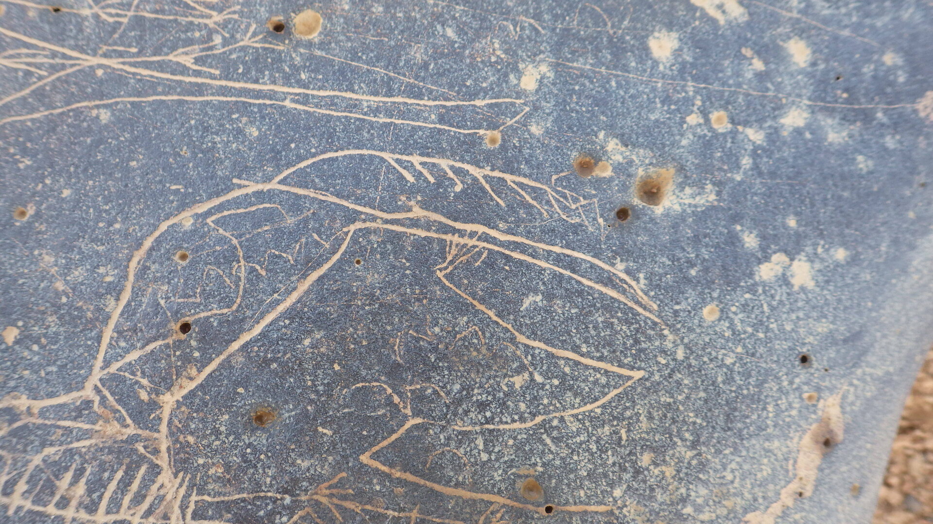 Image of siglum BES20 1246