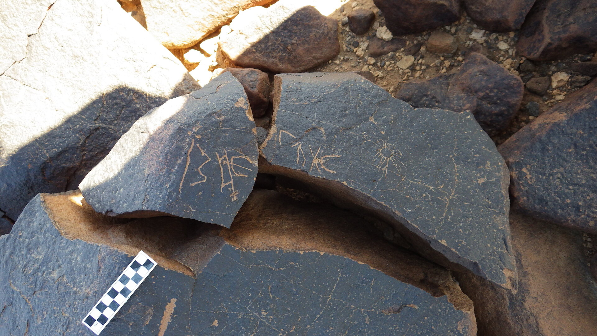 Image of siglum BES20 1246