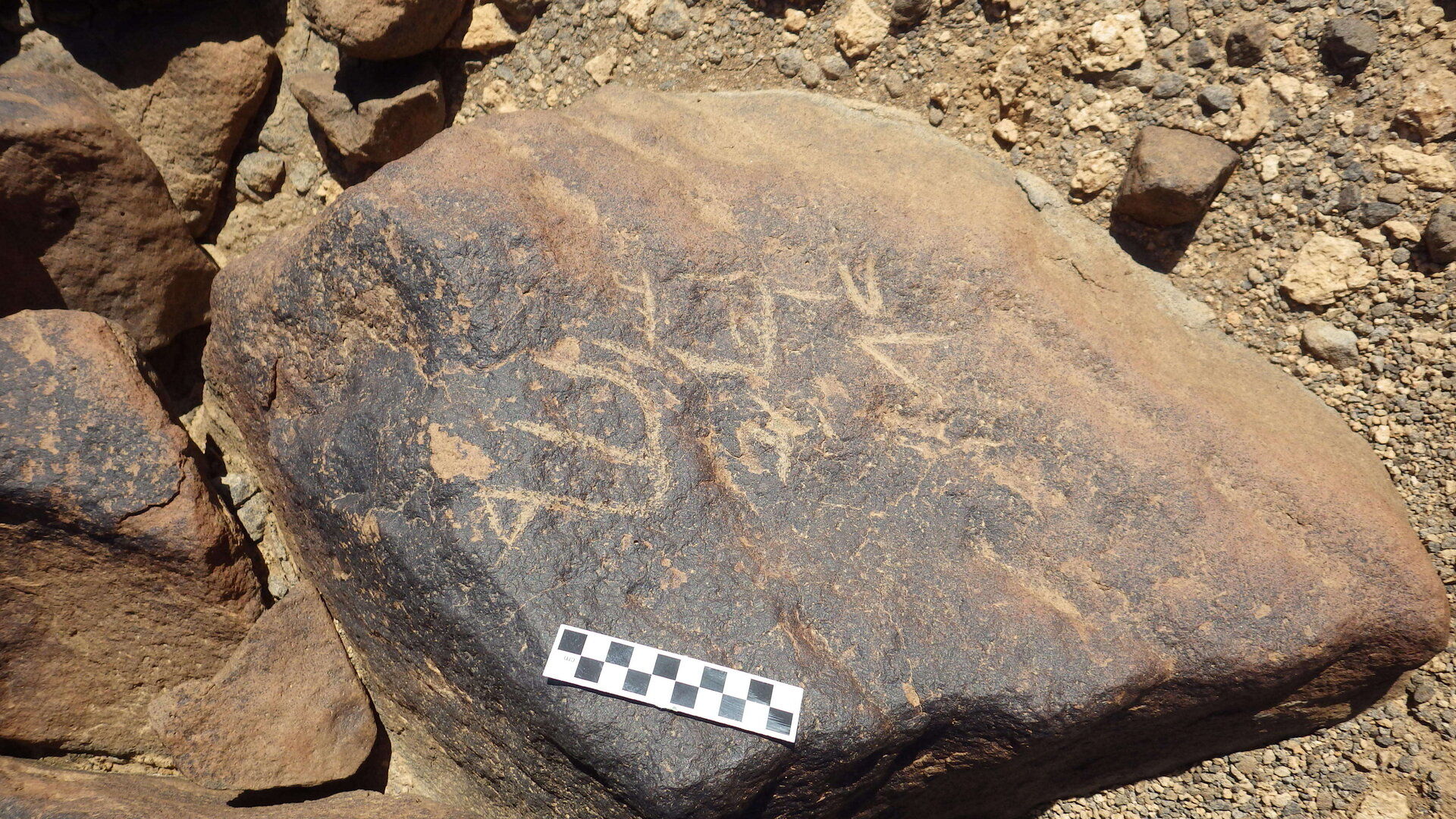 Image of siglum BES20 1246