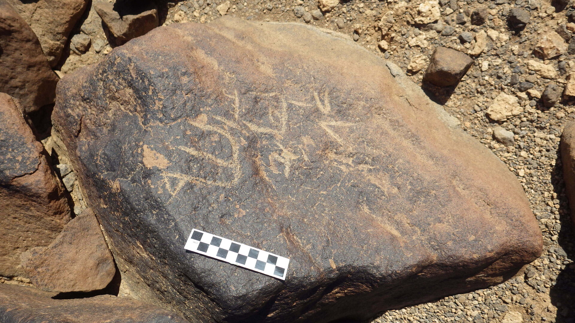 Image of siglum BES20 1246