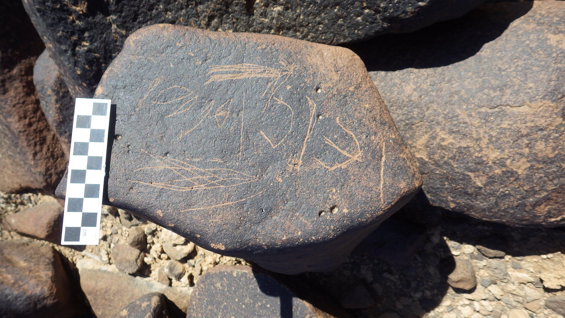 Image of siglum BES20 1246