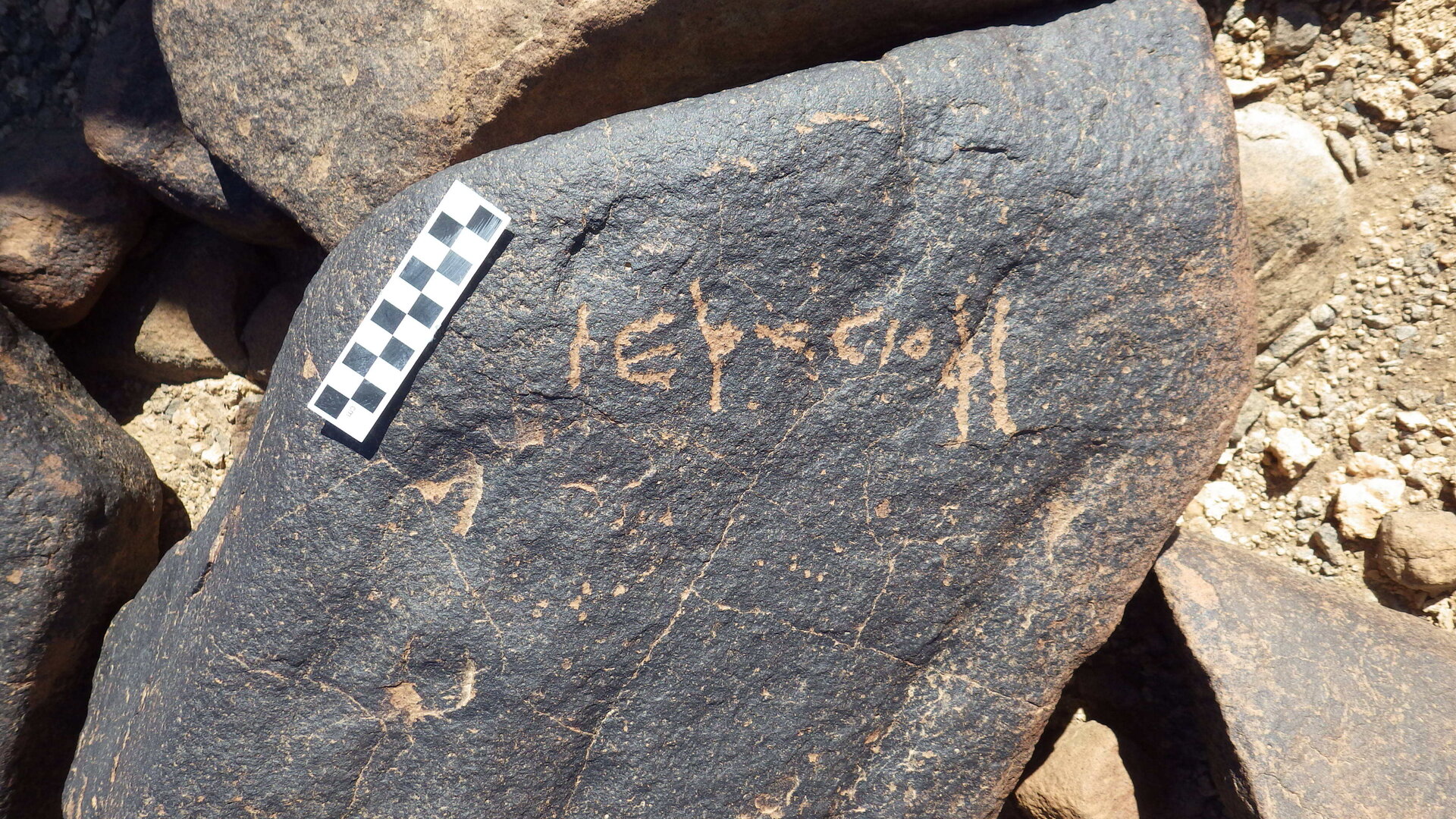 Image of siglum BES20 1246