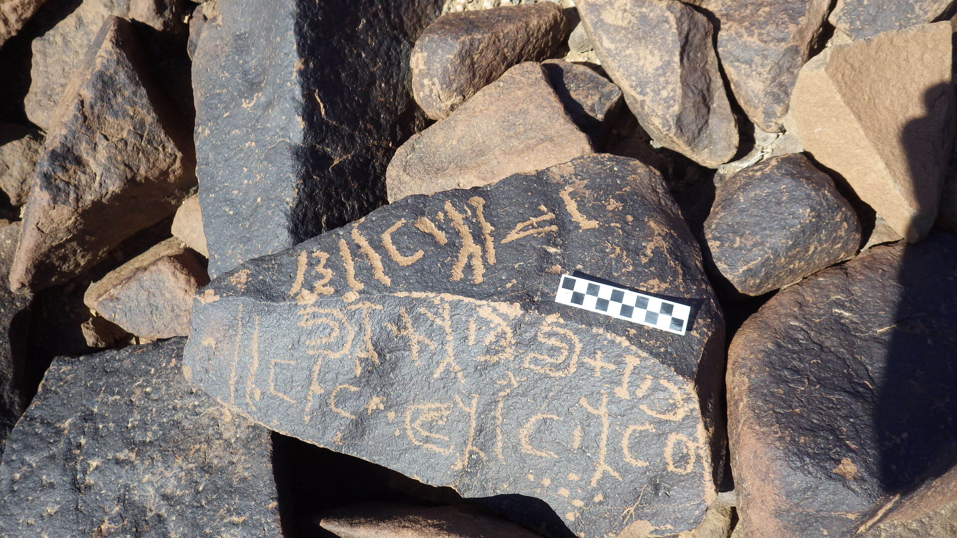 Image of siglum BES20 1246