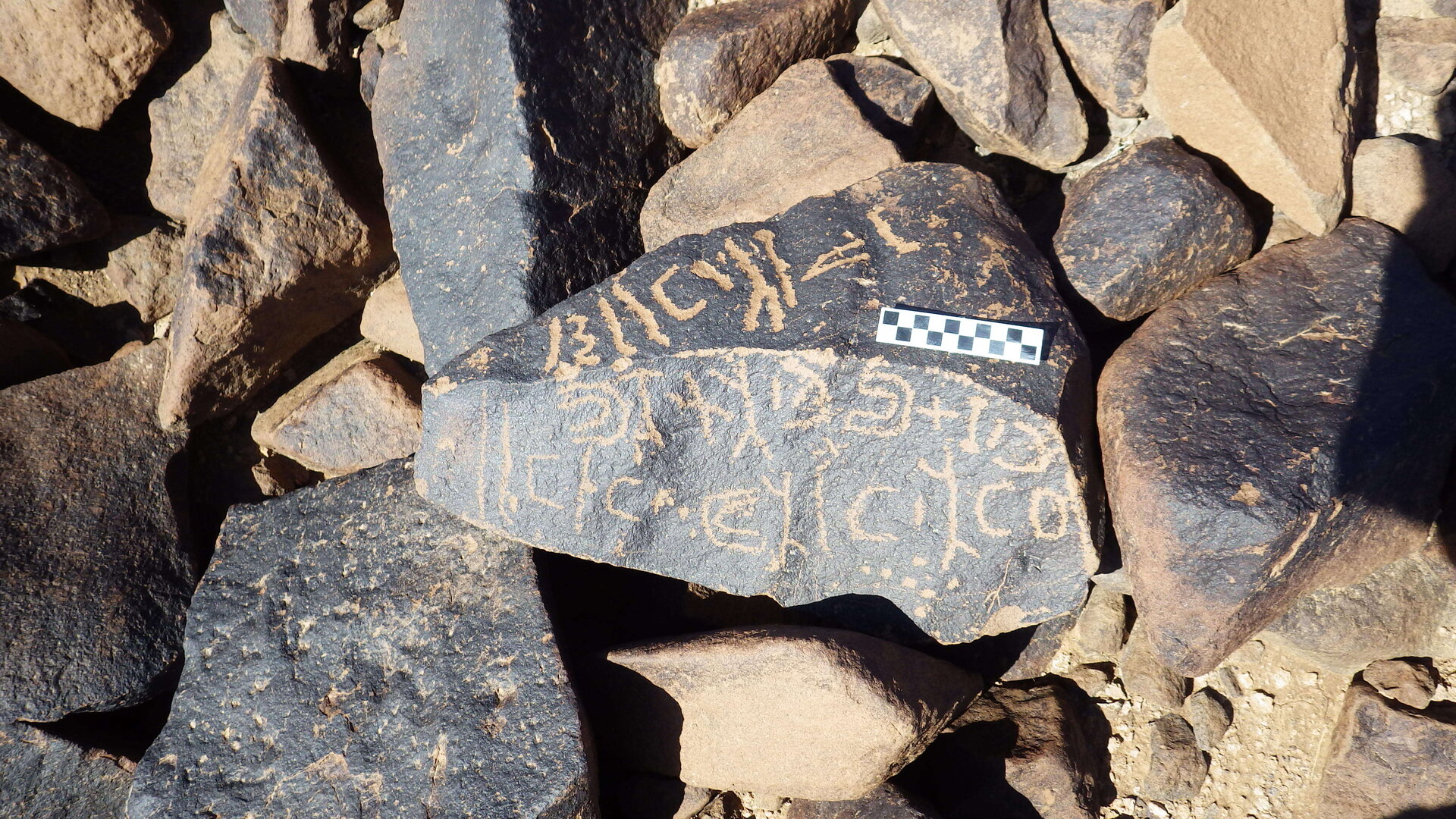 Image of siglum BES20 1246