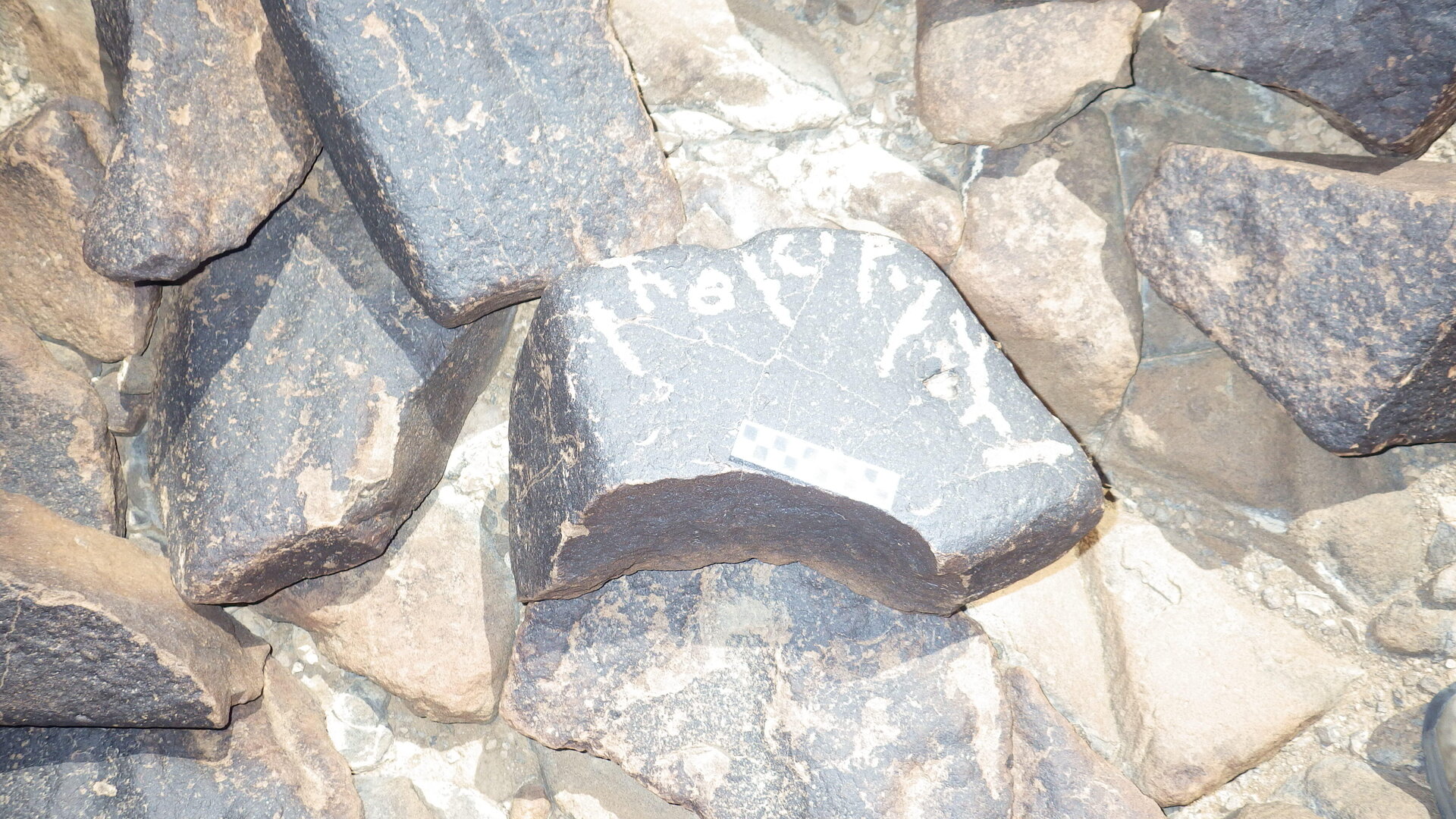 Image of siglum BES20 1246