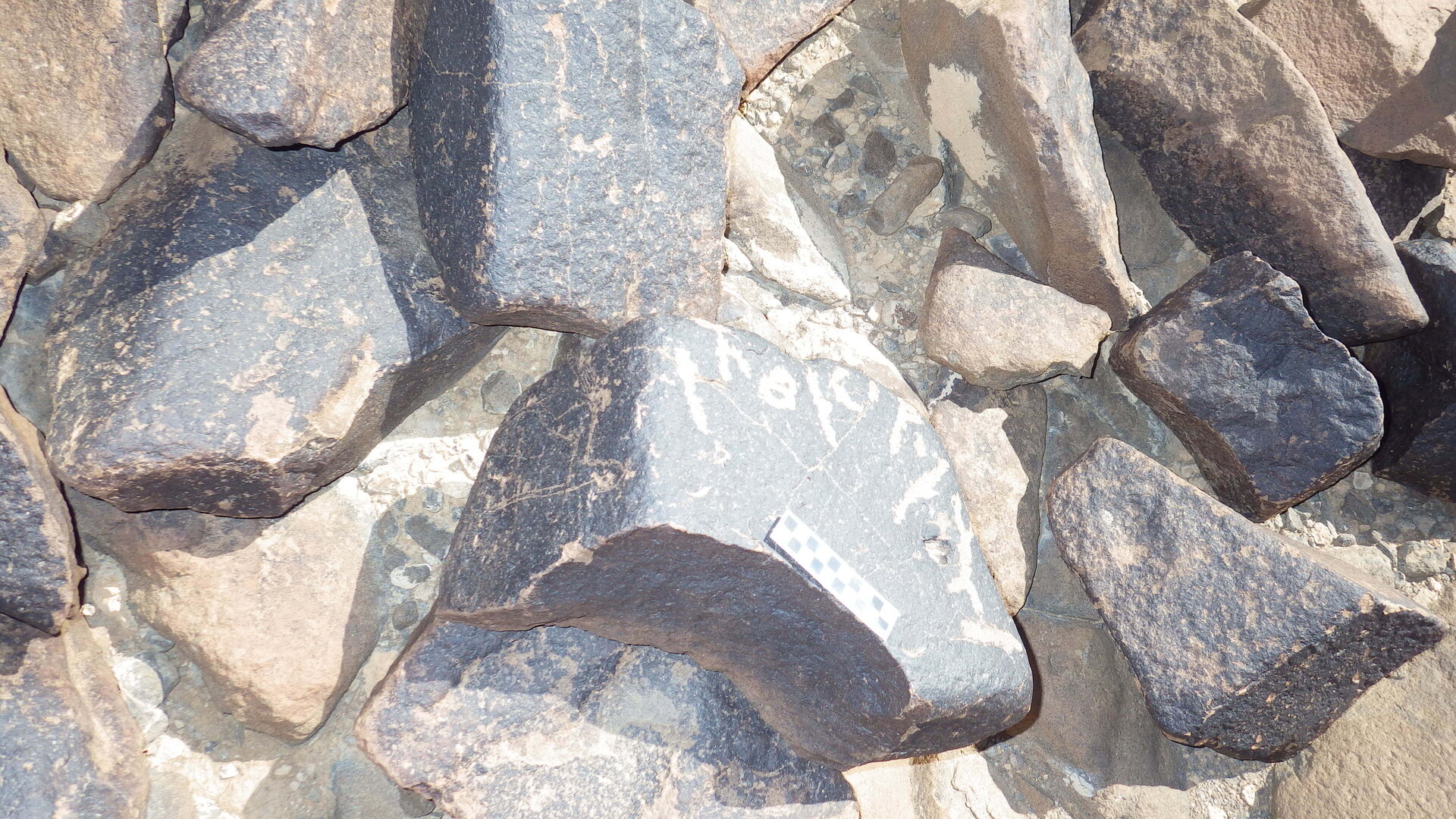 Image of siglum BES20 1246