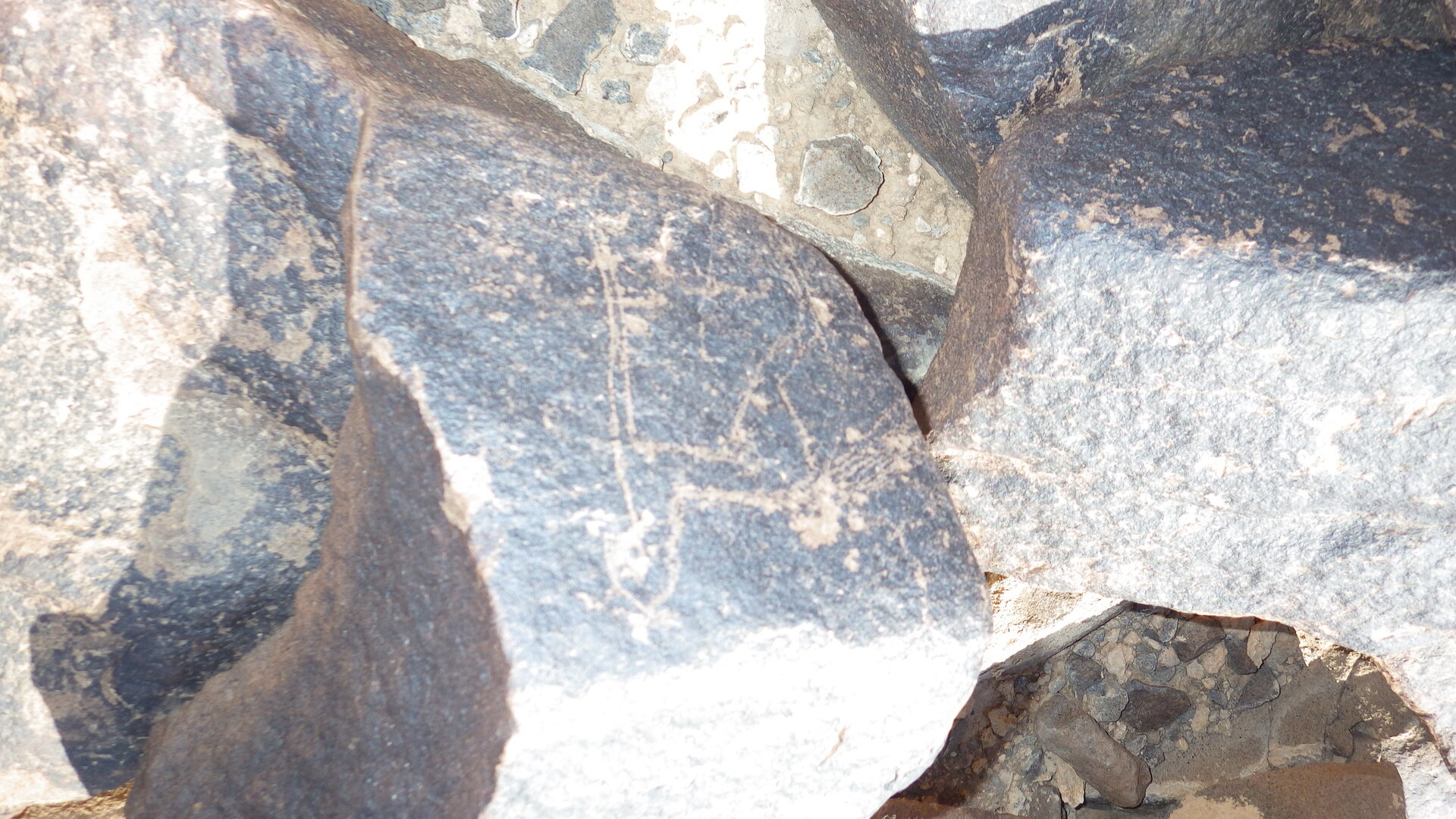 Image of siglum BES20 1246