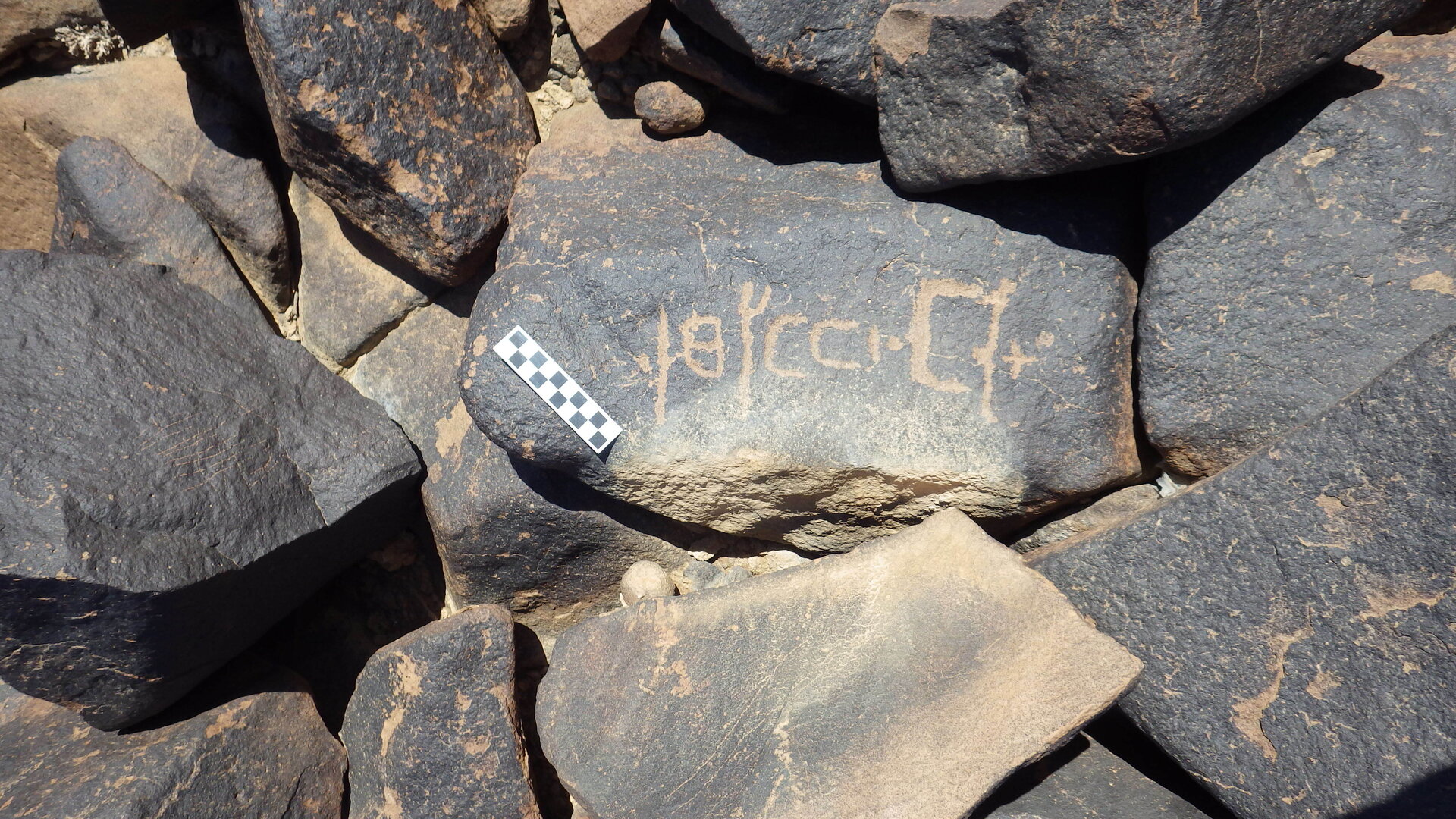 Image of siglum BES20 1246