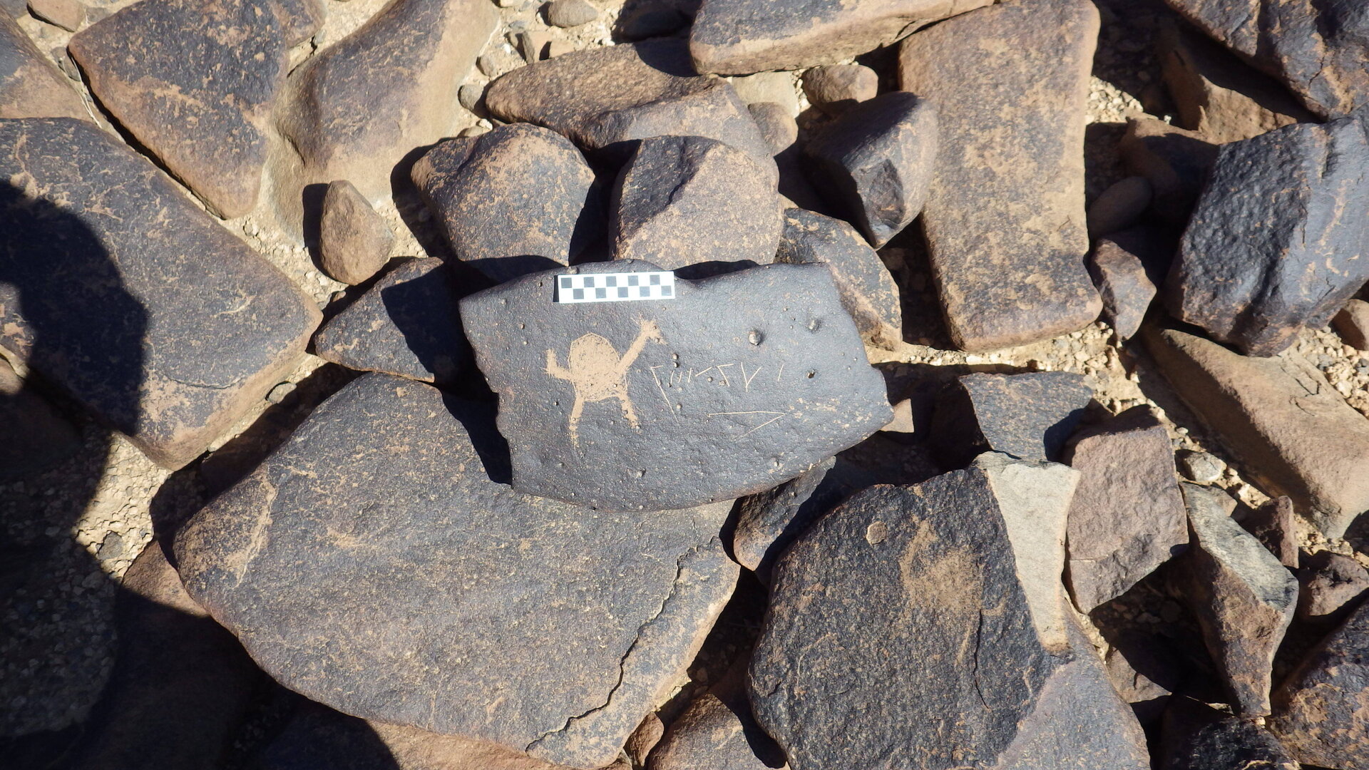 Image of siglum BES20 1246