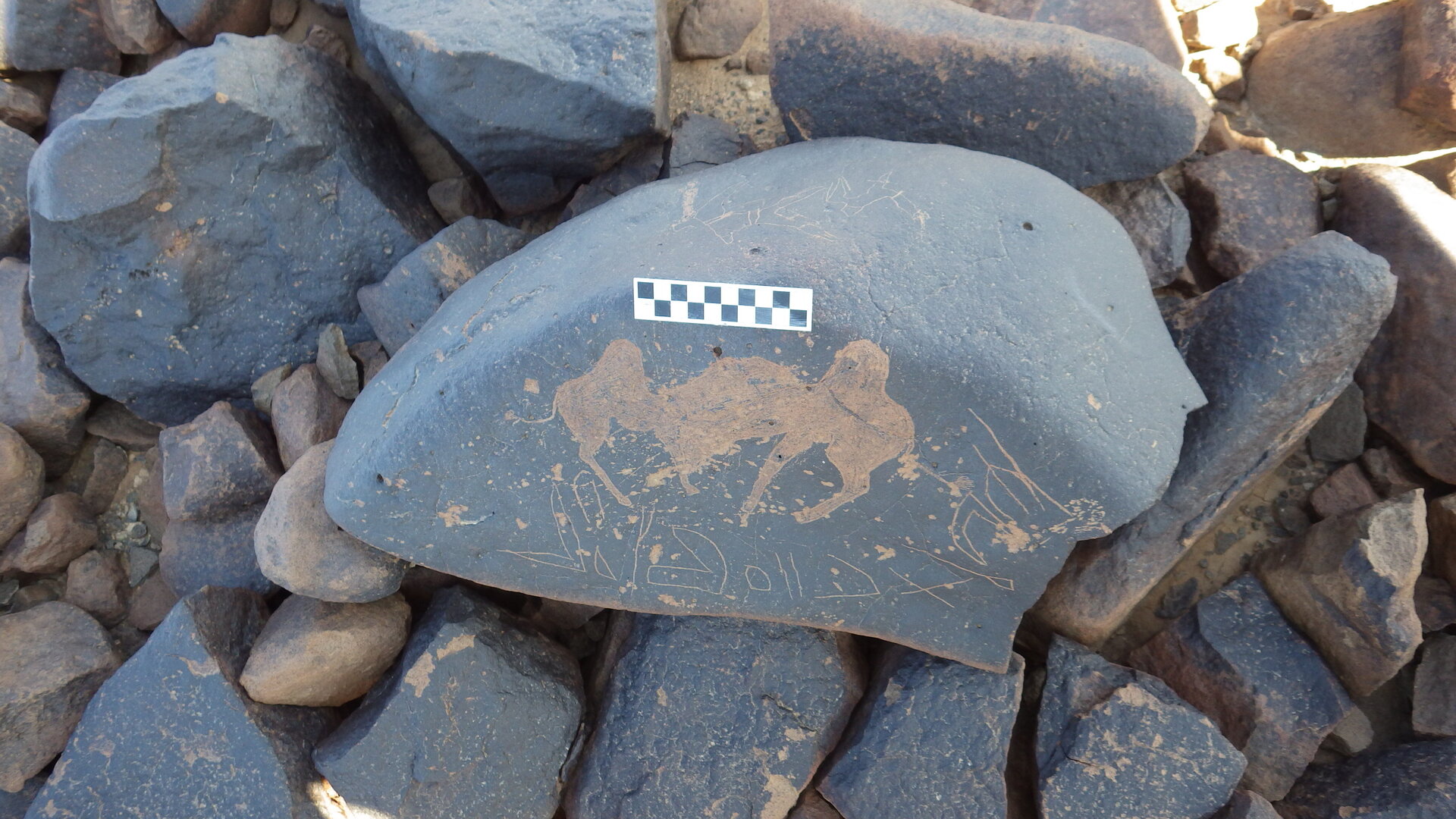 Image of siglum BES20 1246