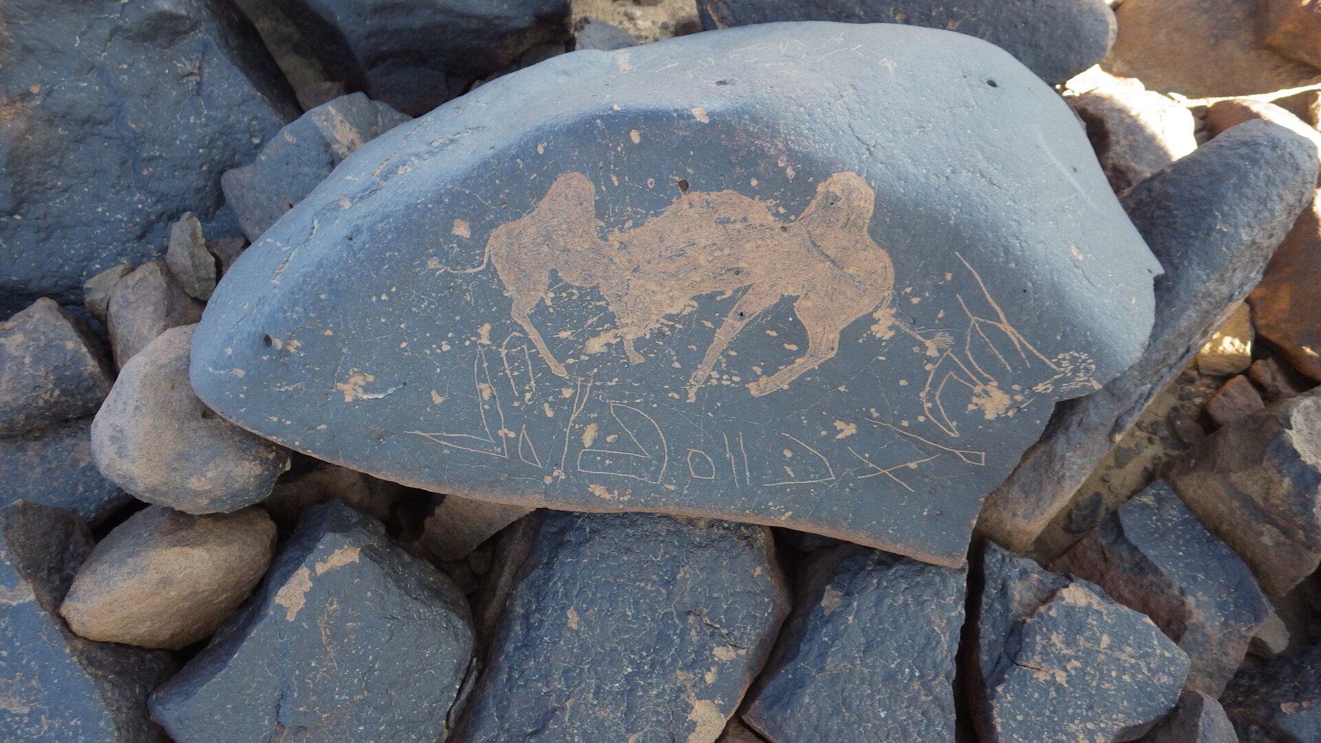 Image of siglum BES20 1246