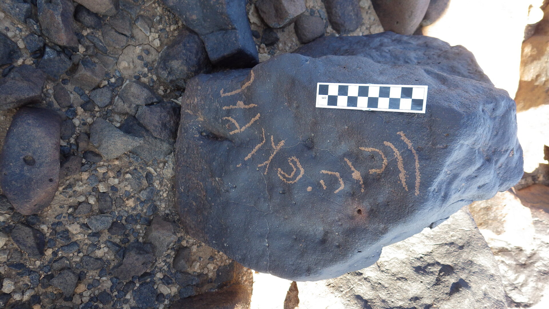 Image of siglum BES20 1246