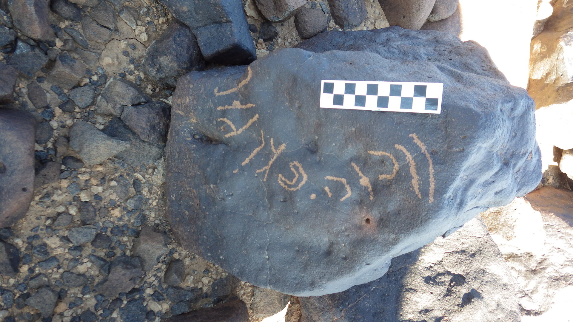 Image of siglum BES20 1246