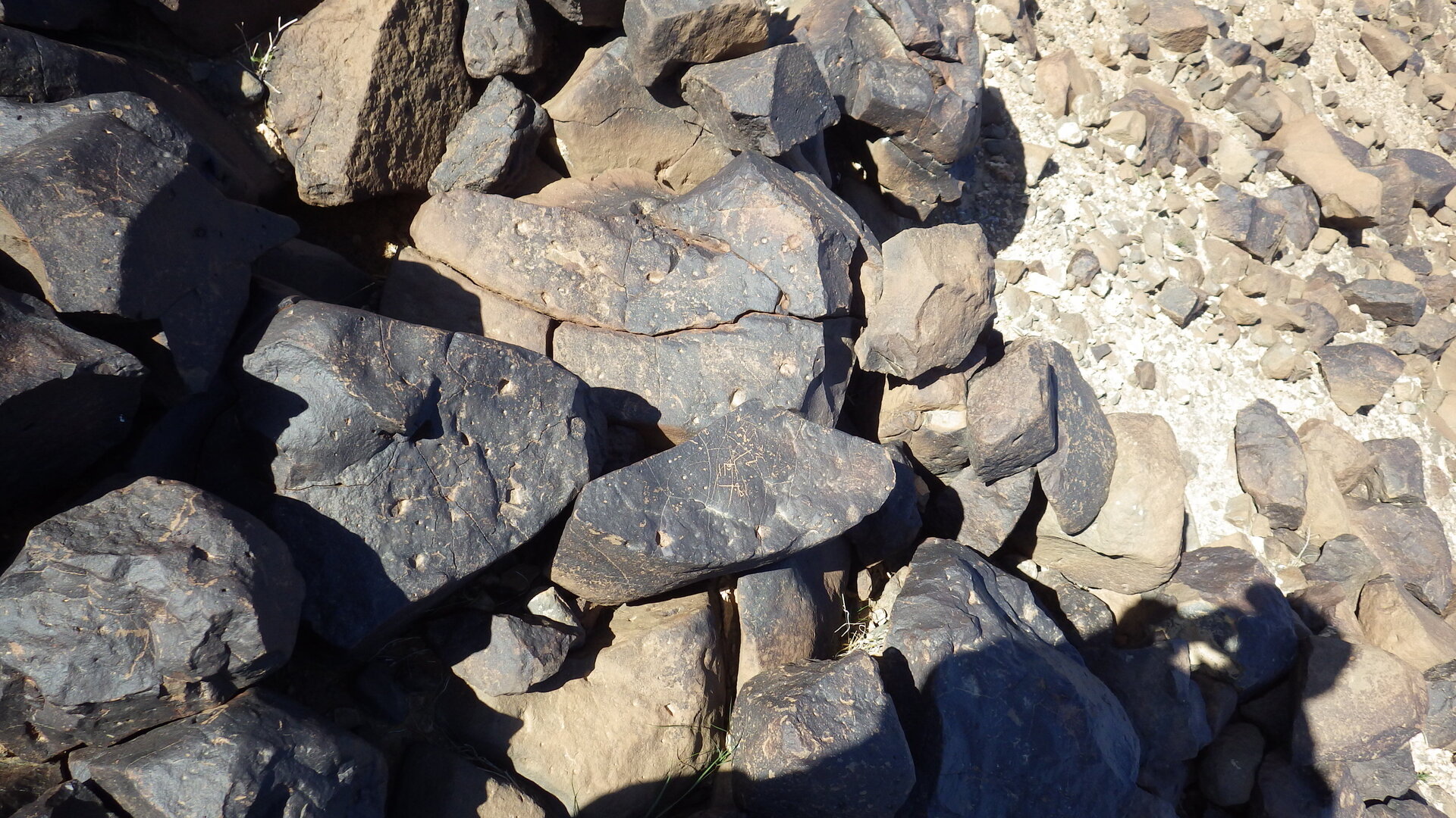 Image of siglum BES20 1246