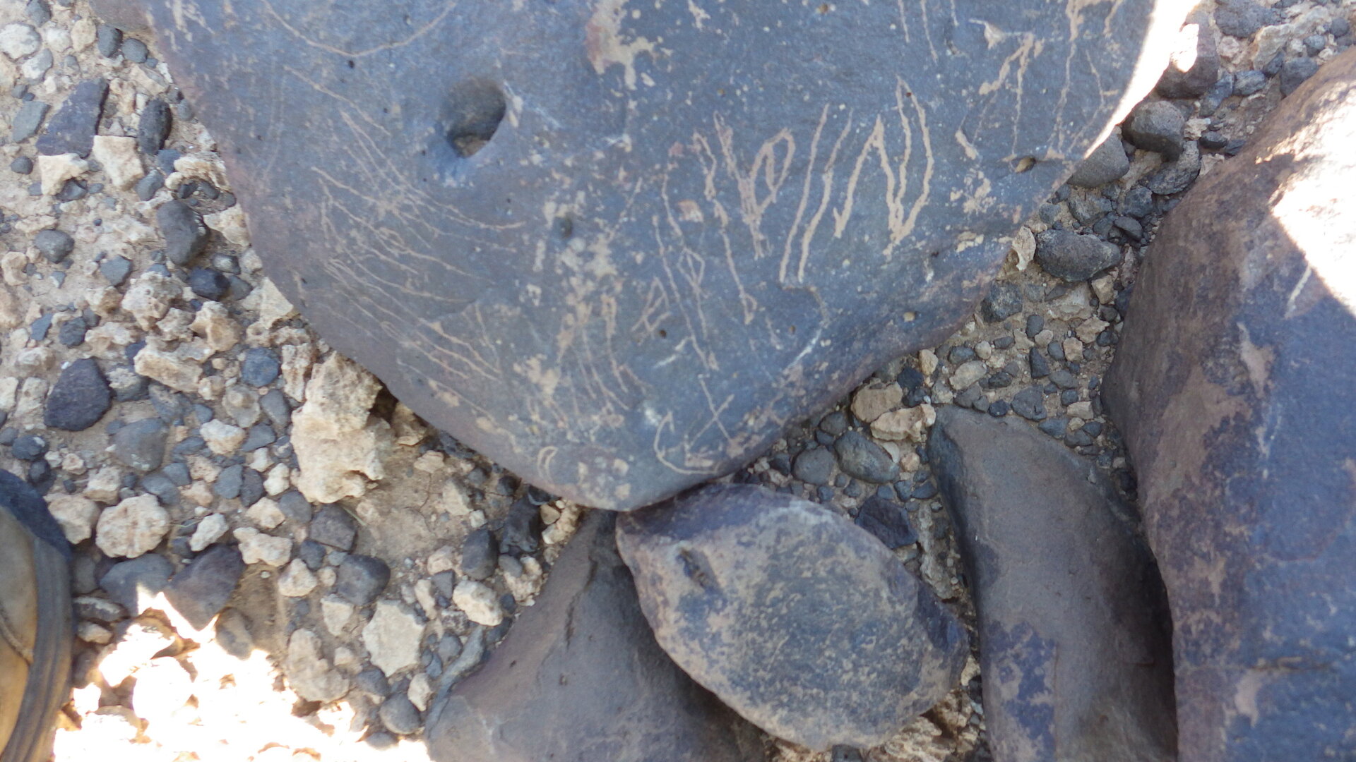 Image of siglum BES20 1246