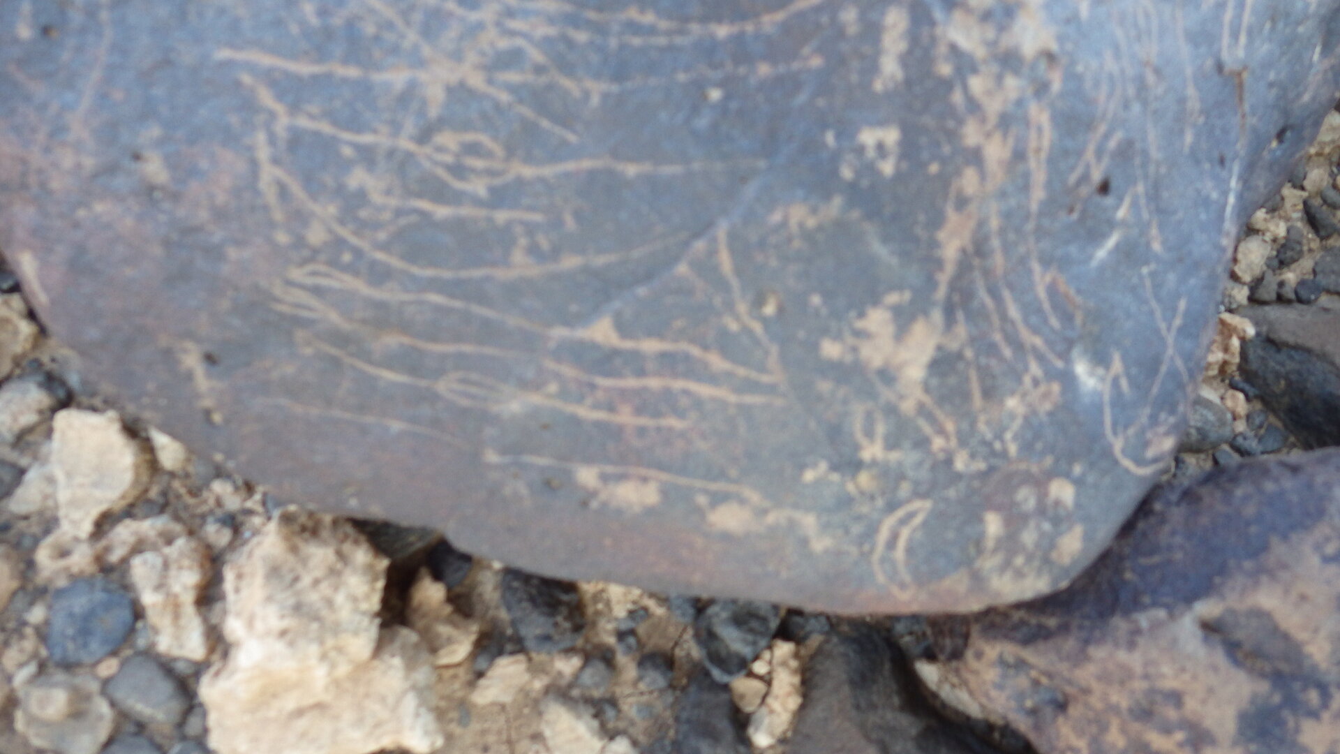 Image of siglum BES20 1246