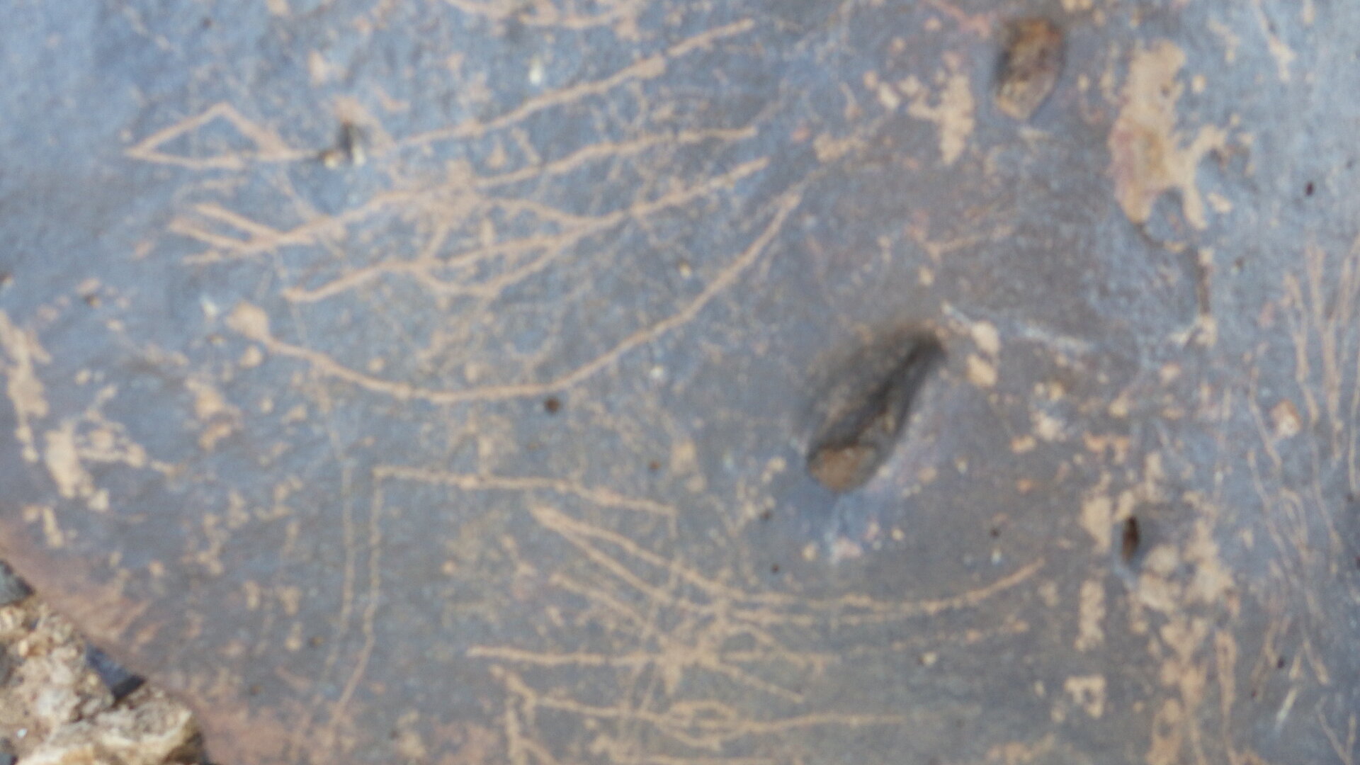 Image of siglum BES20 1246