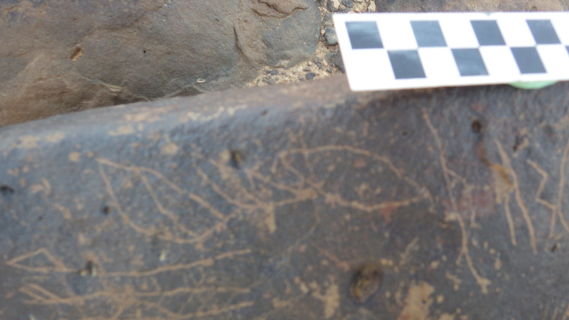 Image of siglum BES20 1246