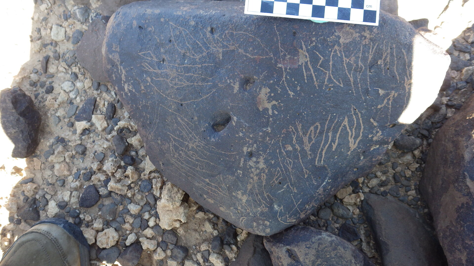 Image of siglum BES20 1246