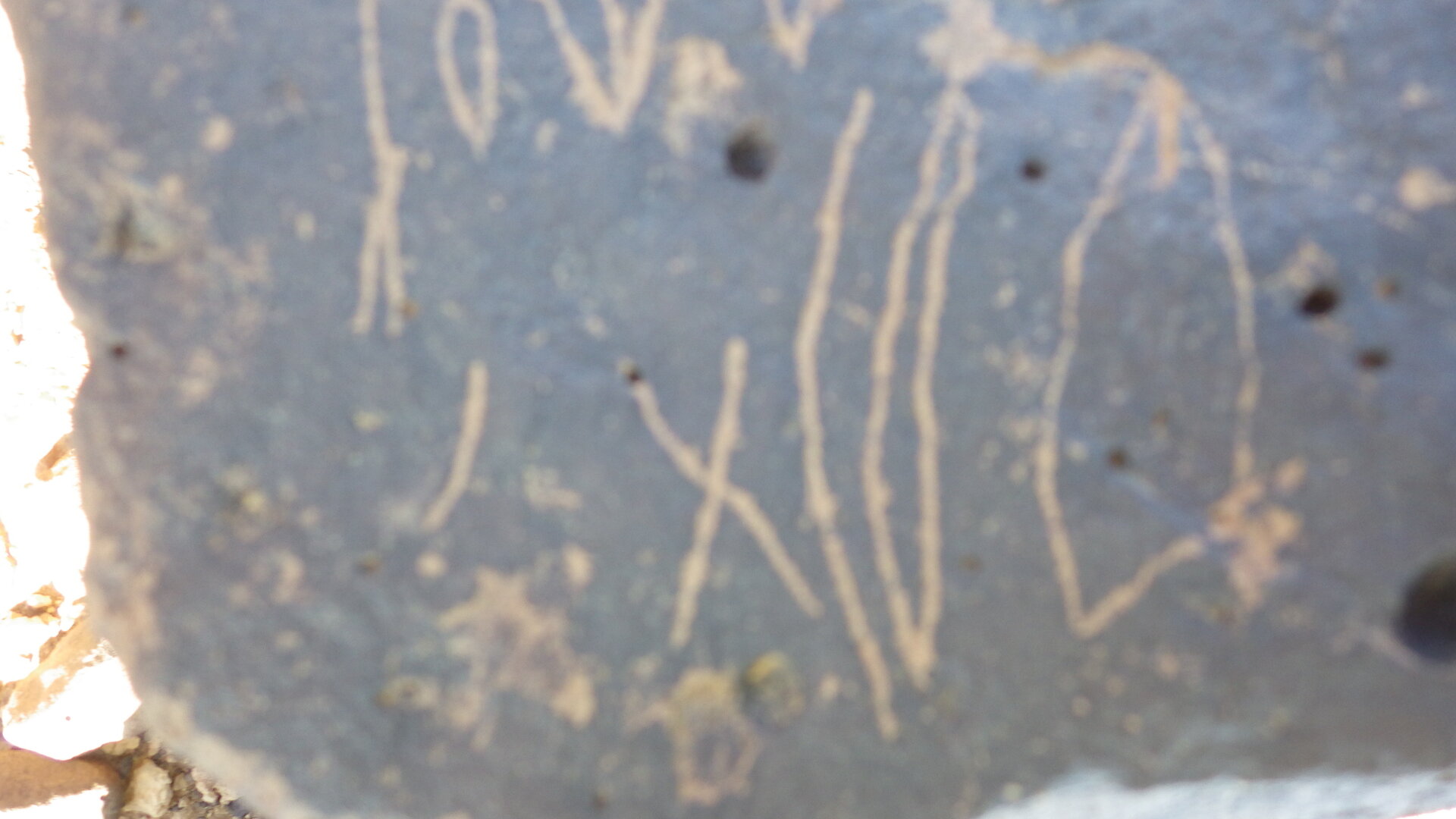 Image of siglum BES20 1246