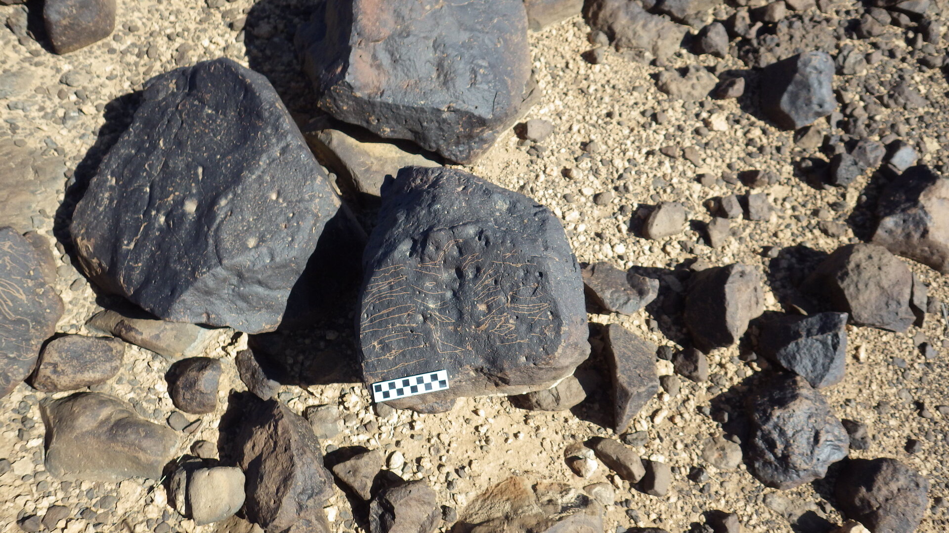Image of siglum BES20 1246