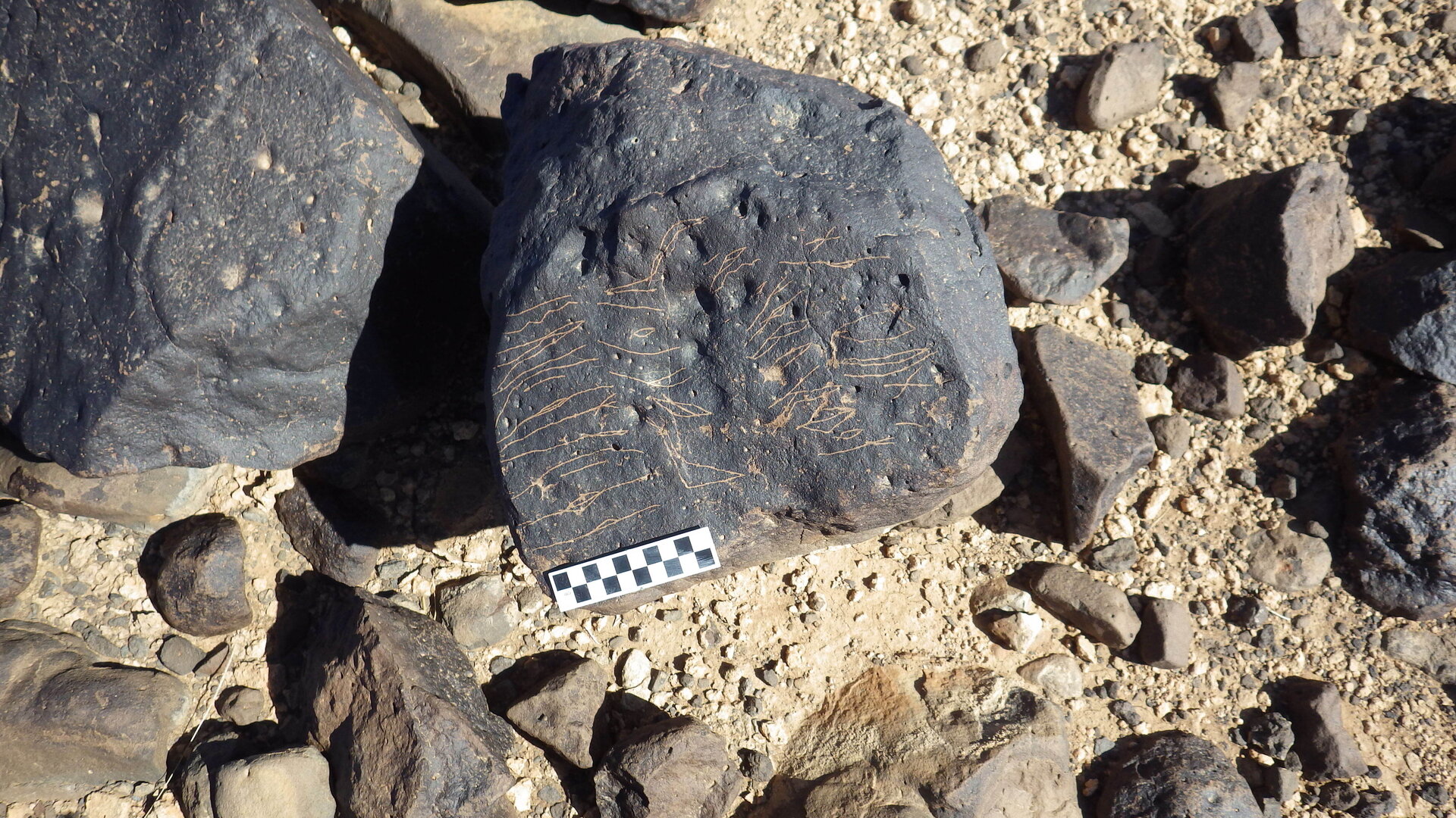 Image of siglum BES20 1246