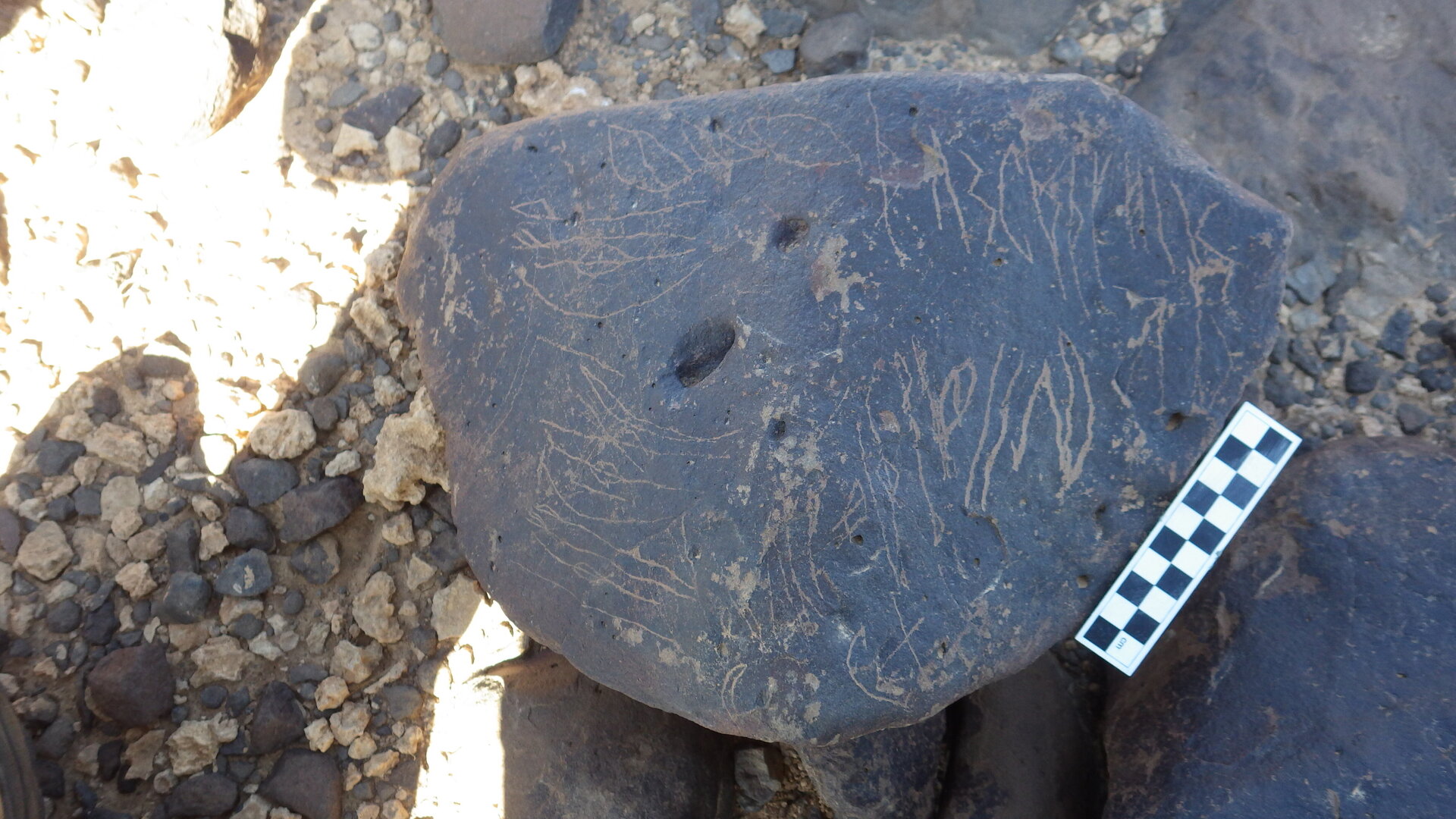Image of siglum BES20 1246