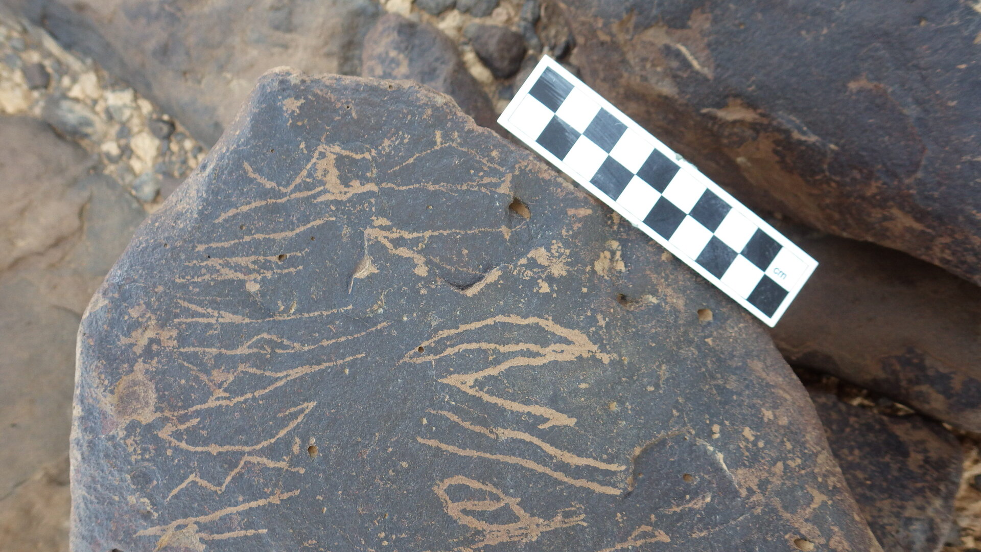 Image of siglum BES20 1246