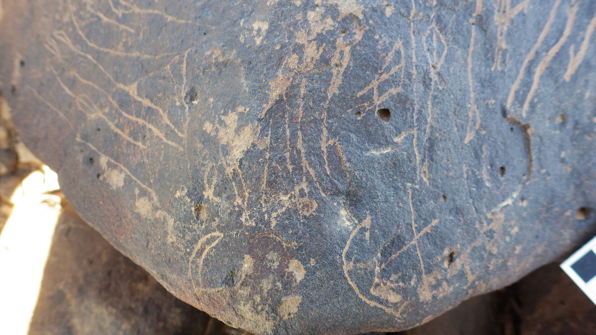 Image of siglum BES20 1246