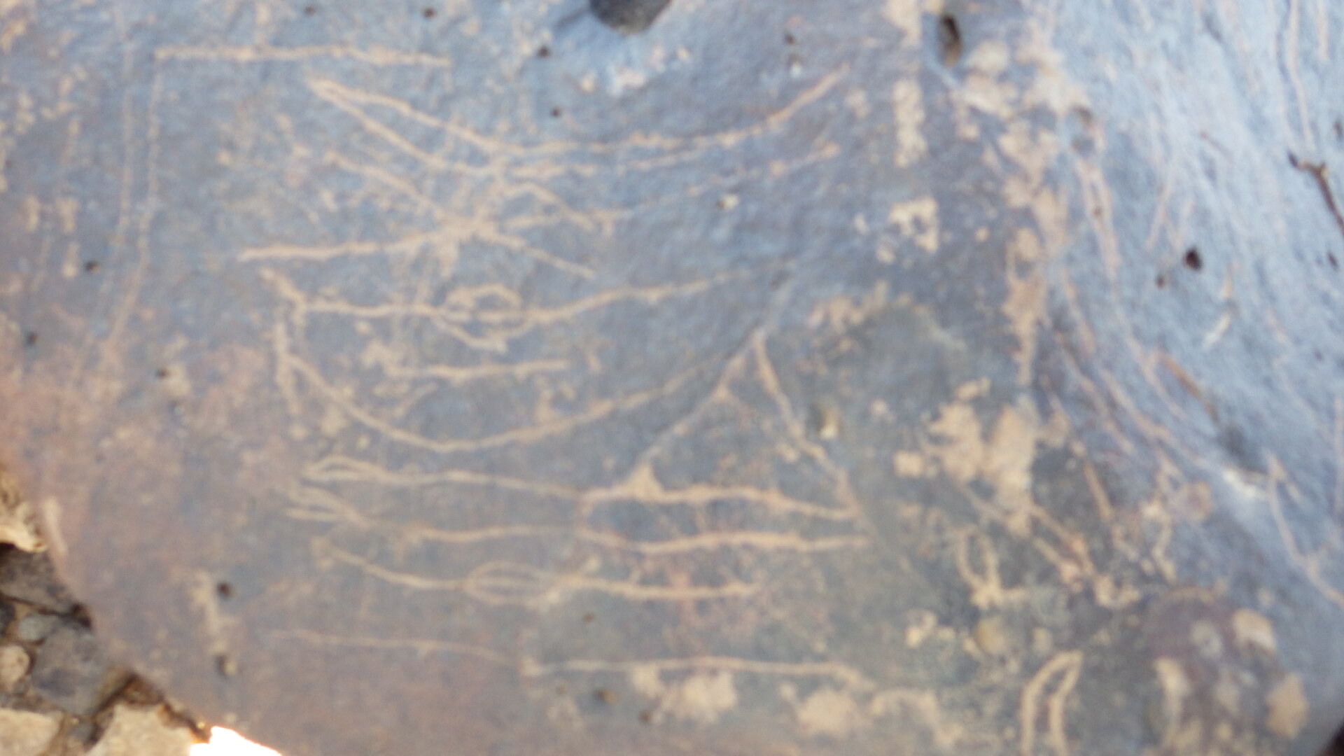 Image of siglum BES20 1246