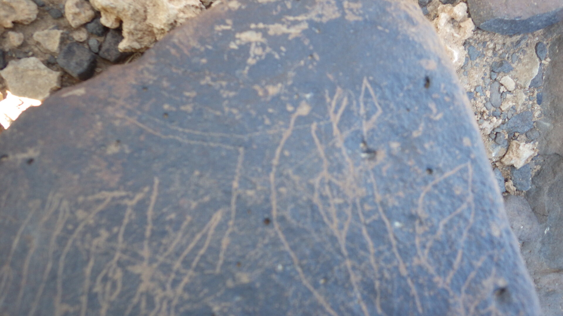 Image of siglum BES20 1246